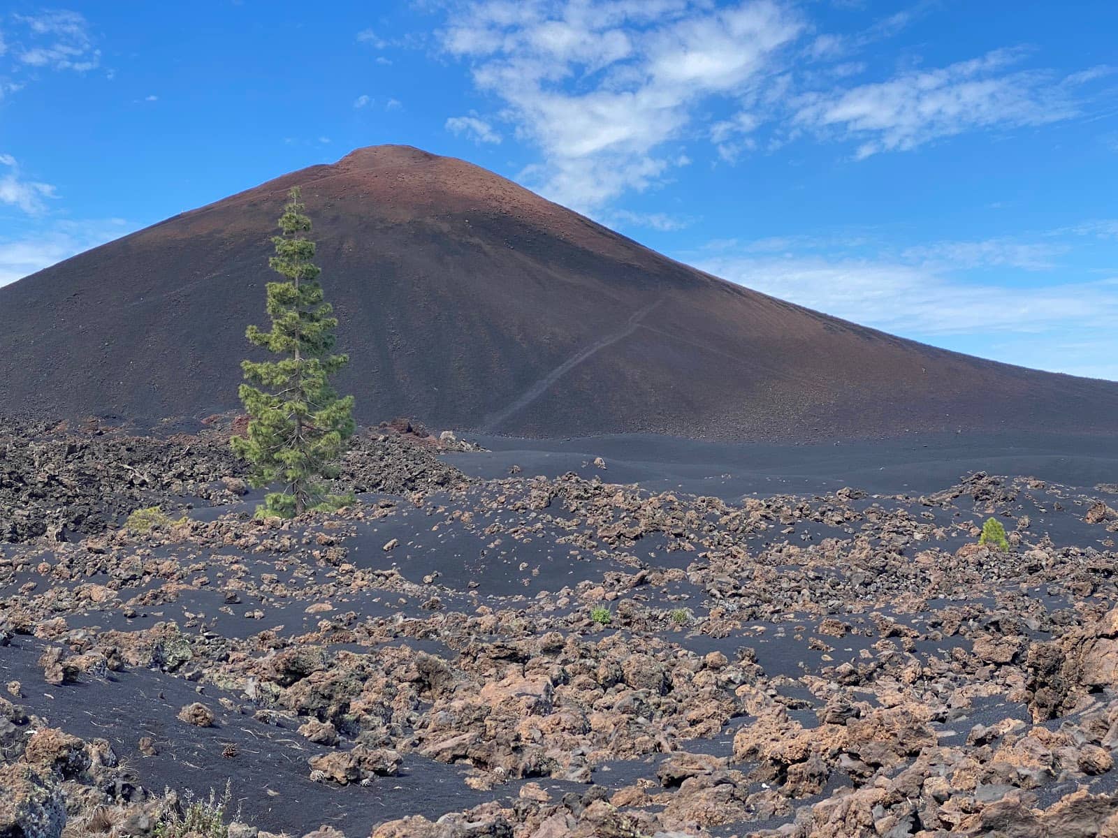 Mount Teide Views