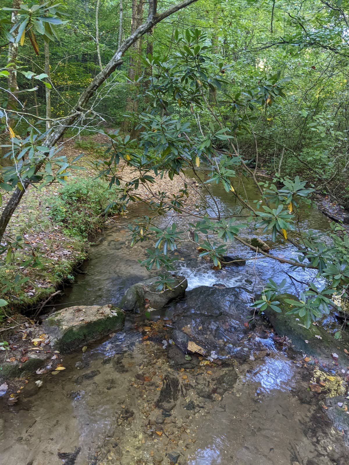 Vertical photo