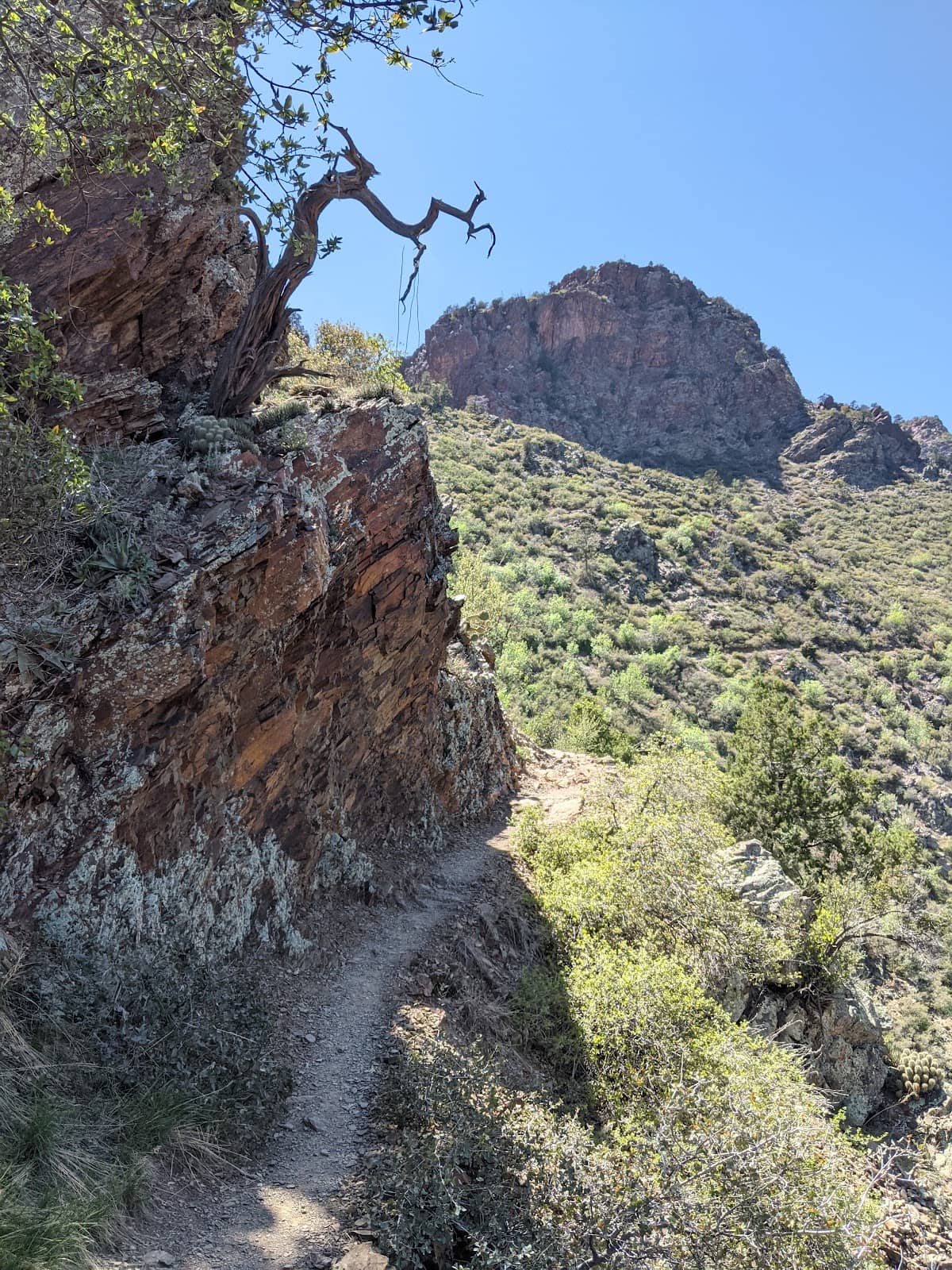 Vertical photo