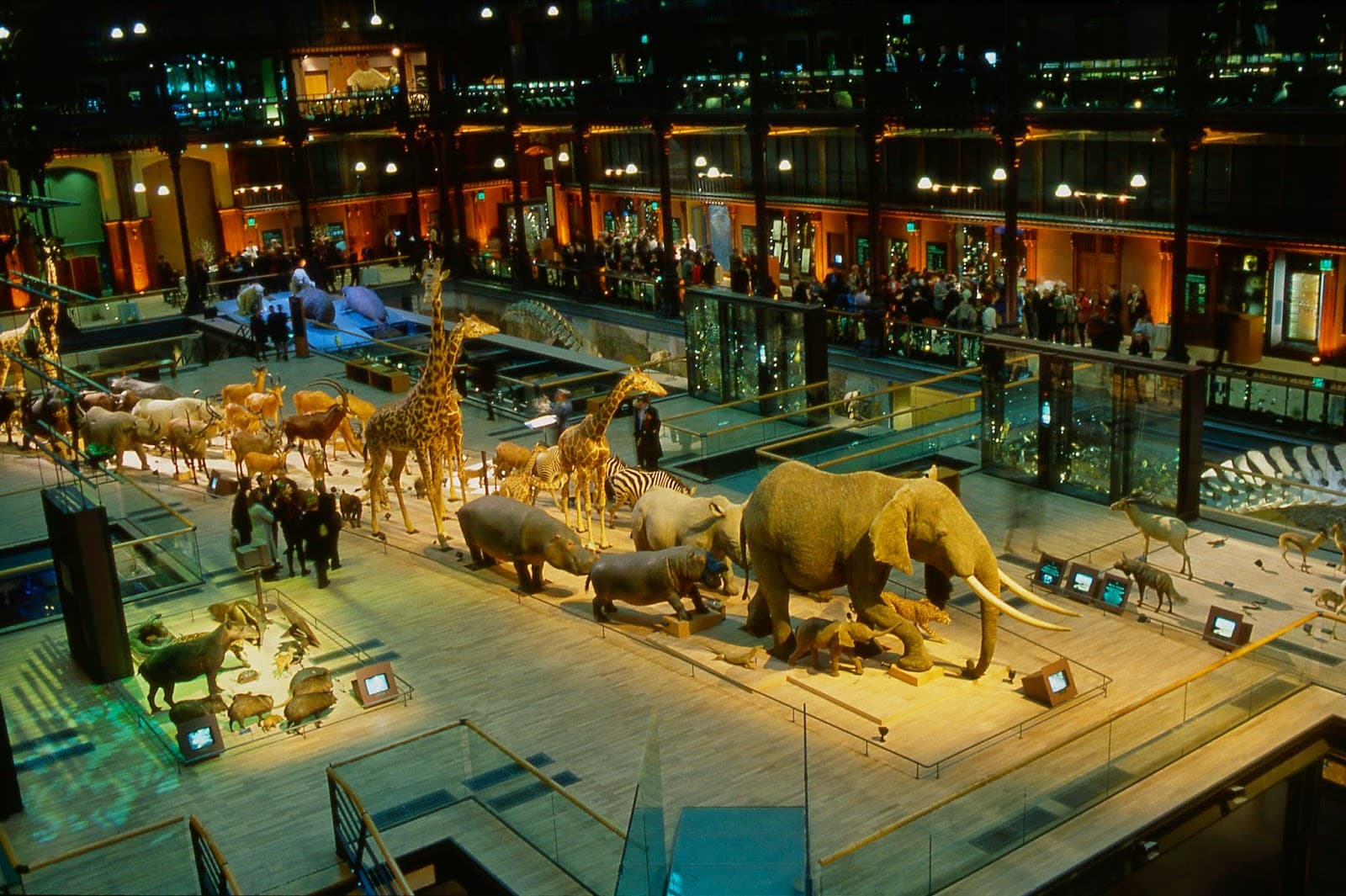 Jardin des Plantes (Grande Galerie de l'Évolution) - Image 1