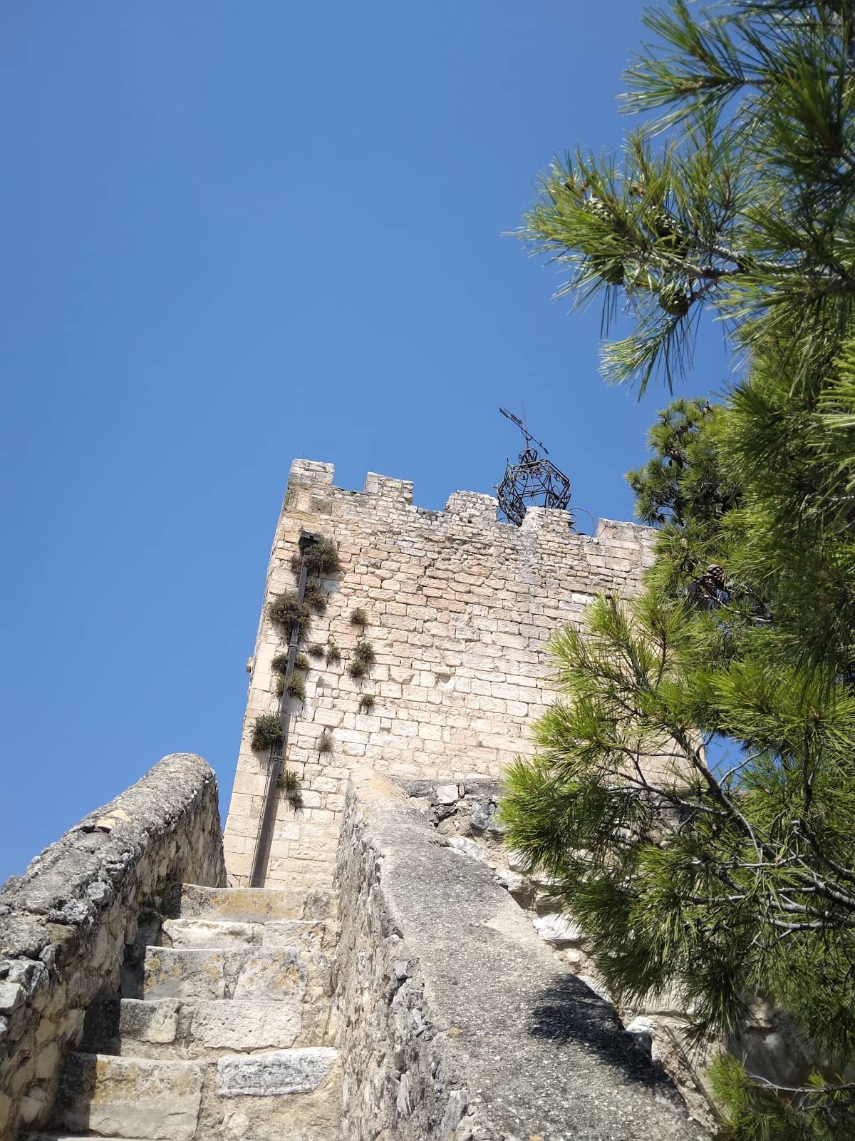 Mont Ventoux Vista