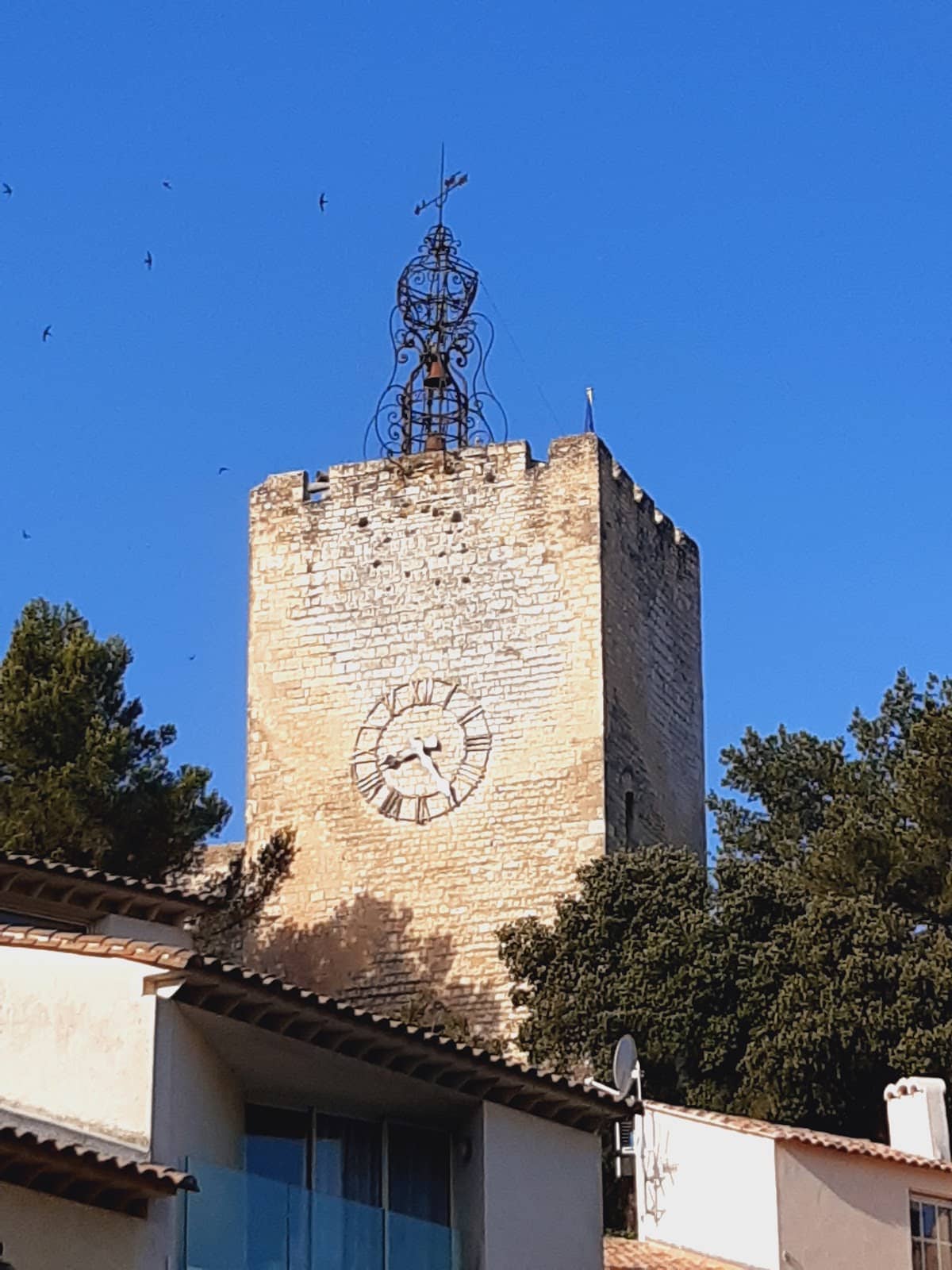 Vertical photo
