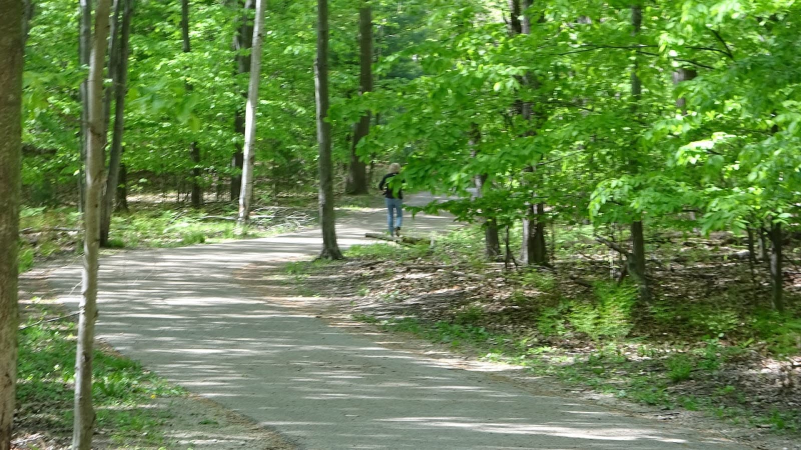 Cartier Park and Pathway - Image 1