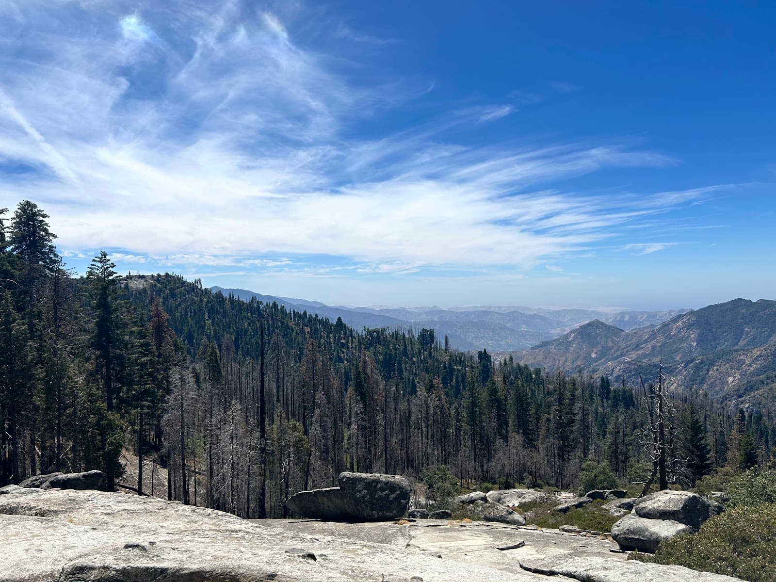 Beetle Rock - Image 1