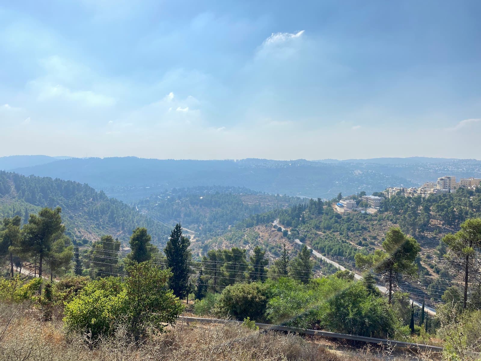 Jerusalem Forest - Image 1