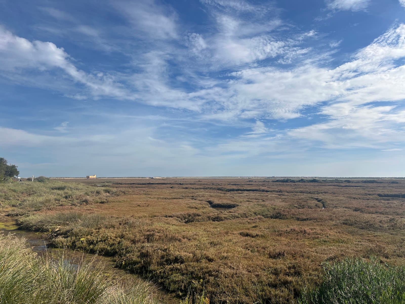 Ecovia do Litoral Quarteira Section - Image 1