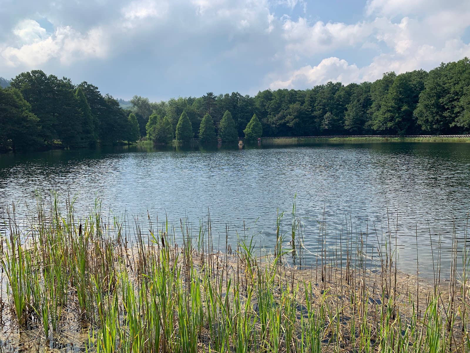 Nature Trails