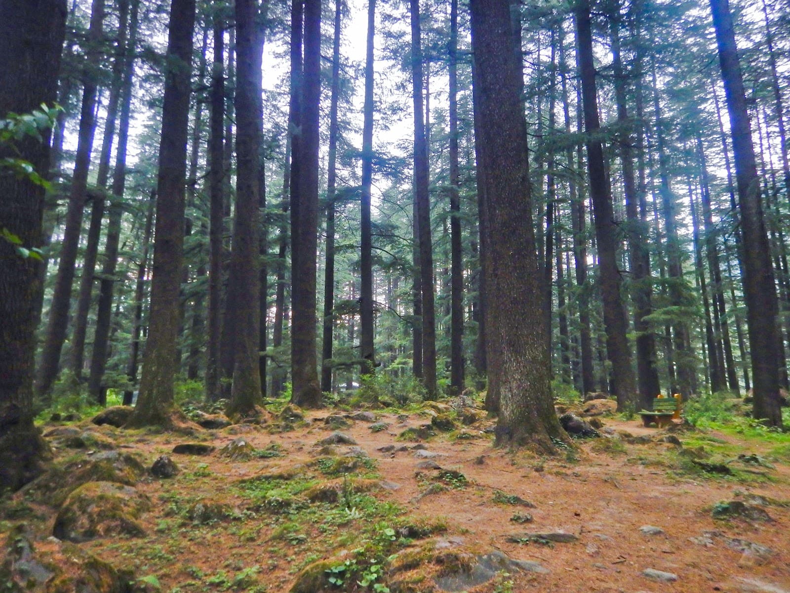 Manali Nature Park - Image 1
