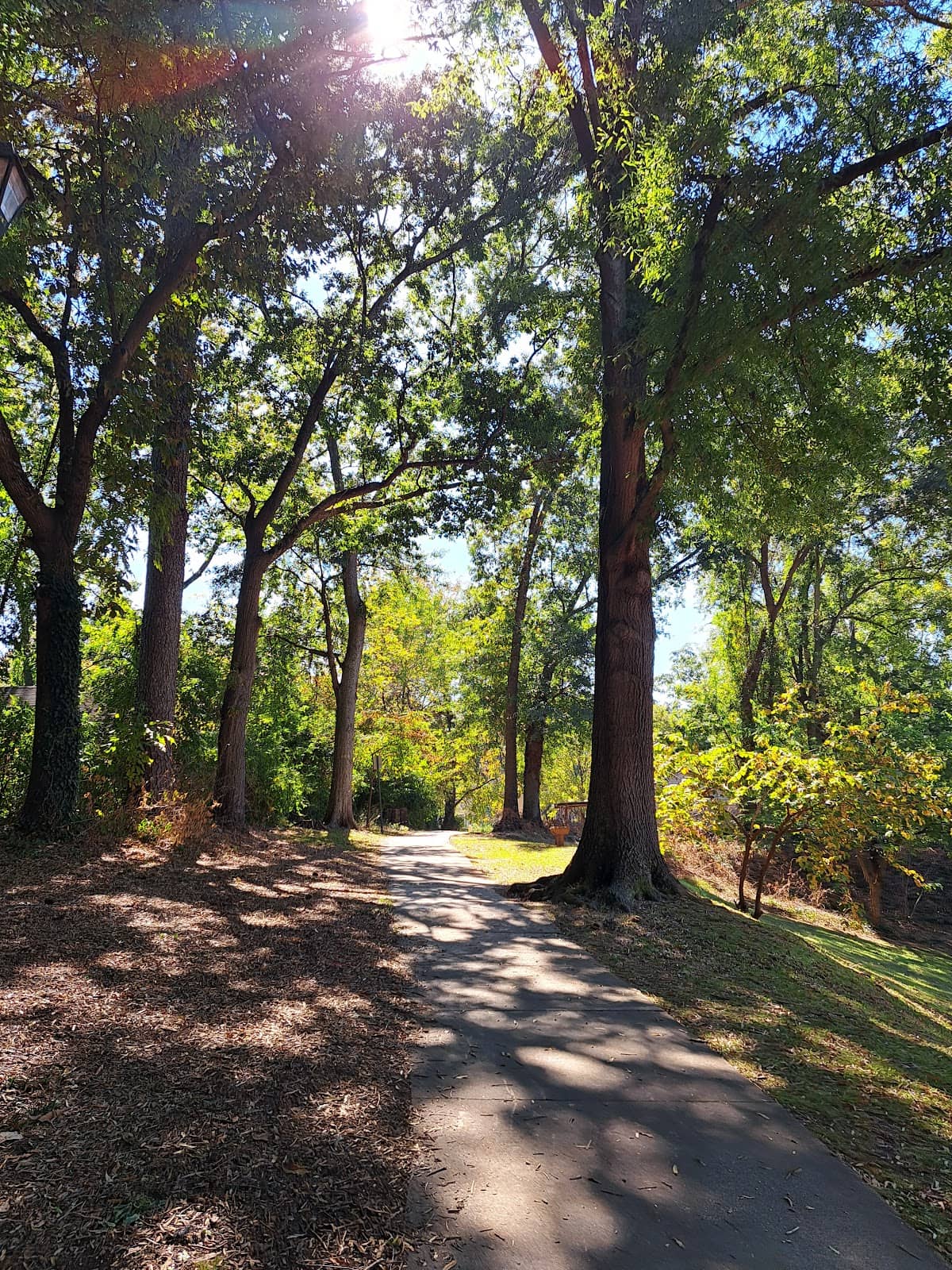 Vertical photo
