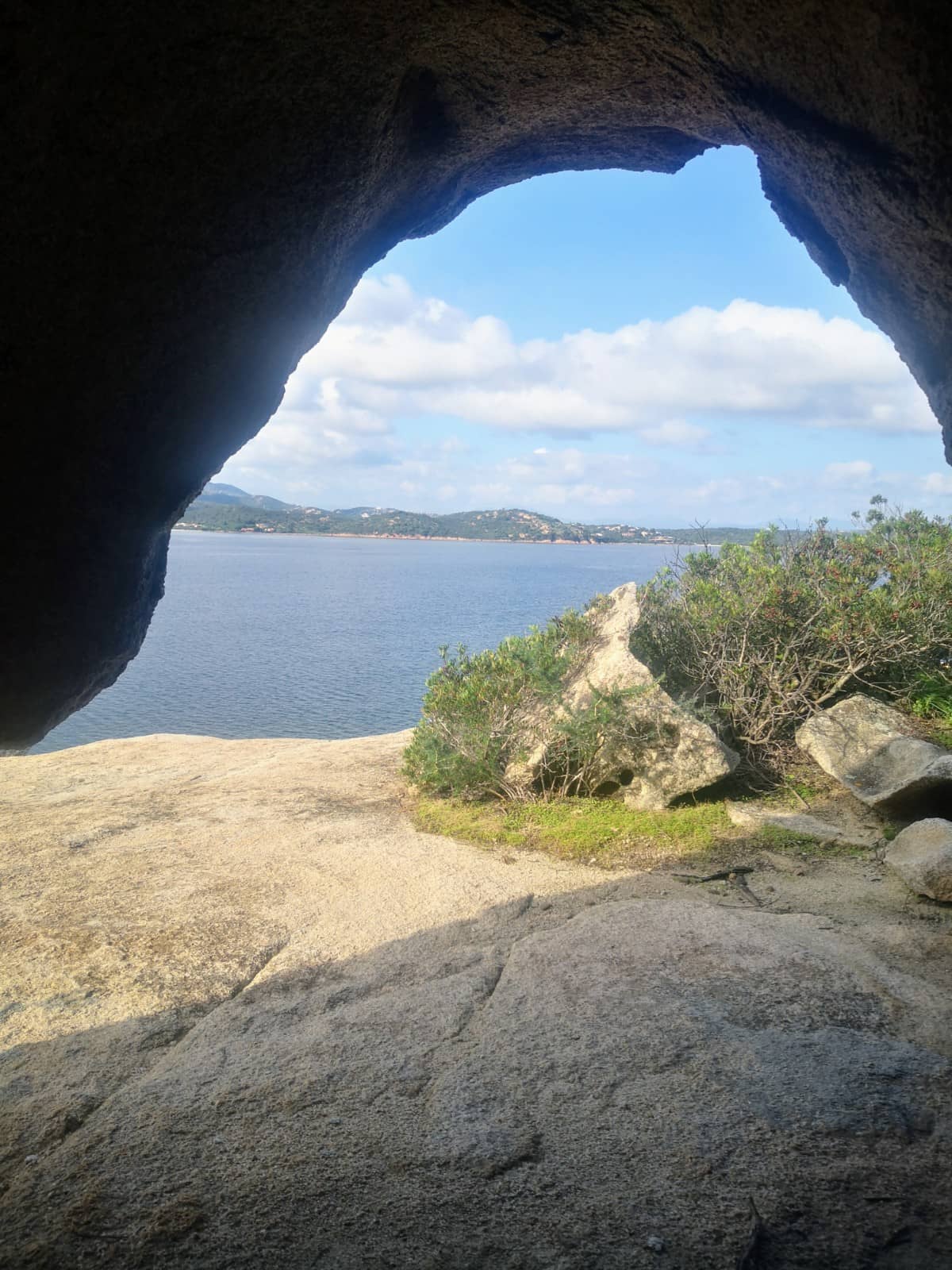 Vertical photo