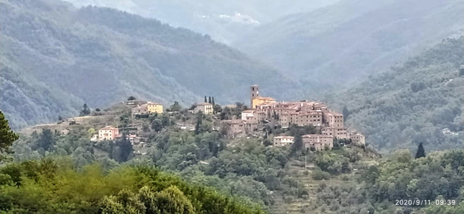 Fibbialla Valleriana - Image 1