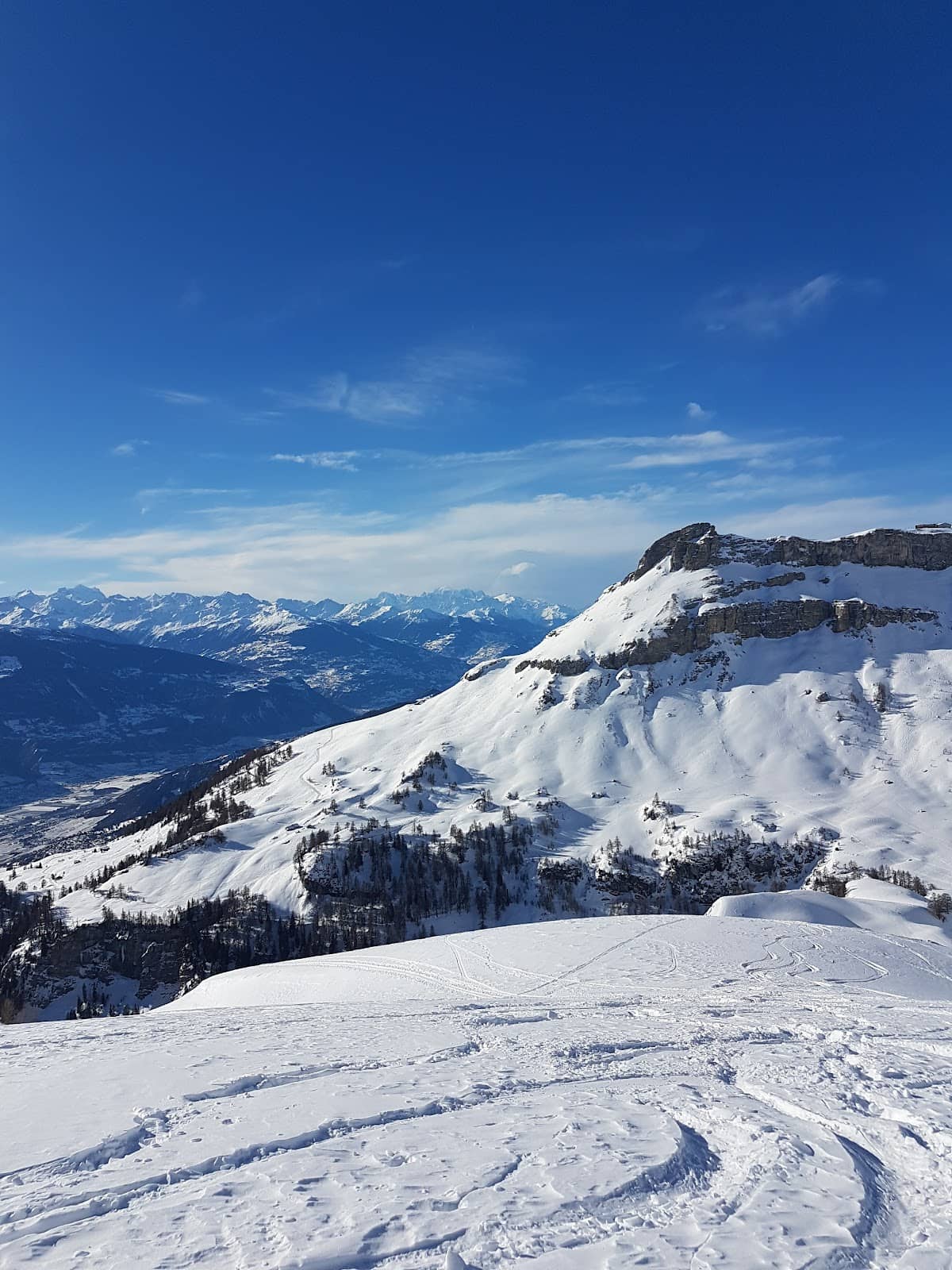 Valaisan Wine Tasting