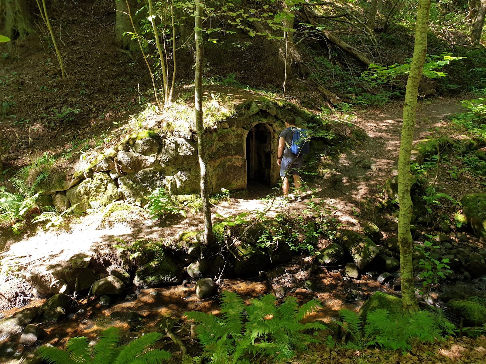 Getå Ravine Nature Reserve - Image 1