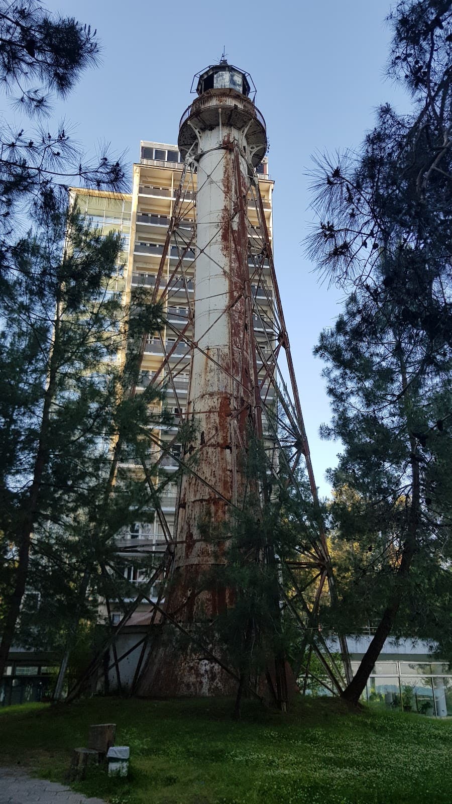 Pitsunda Pine Grove & Cape - Image 1