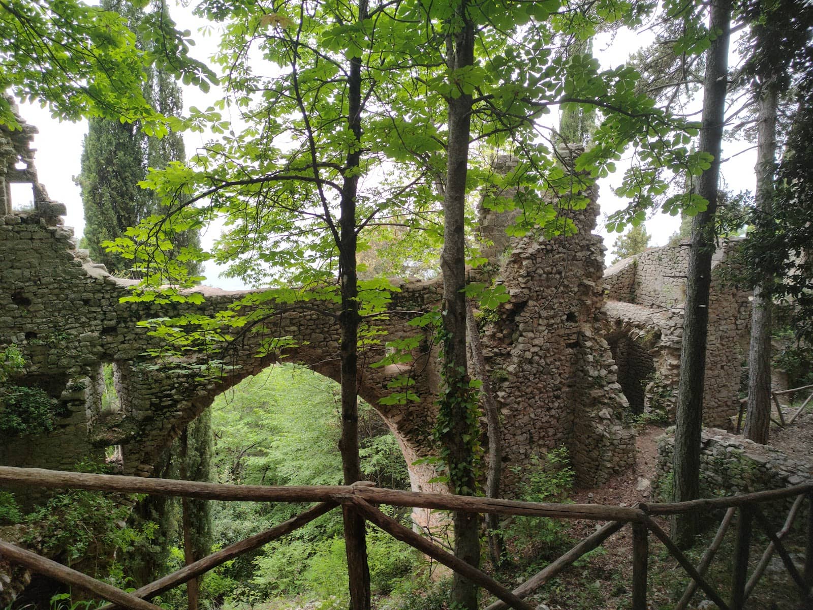 Vertical photo