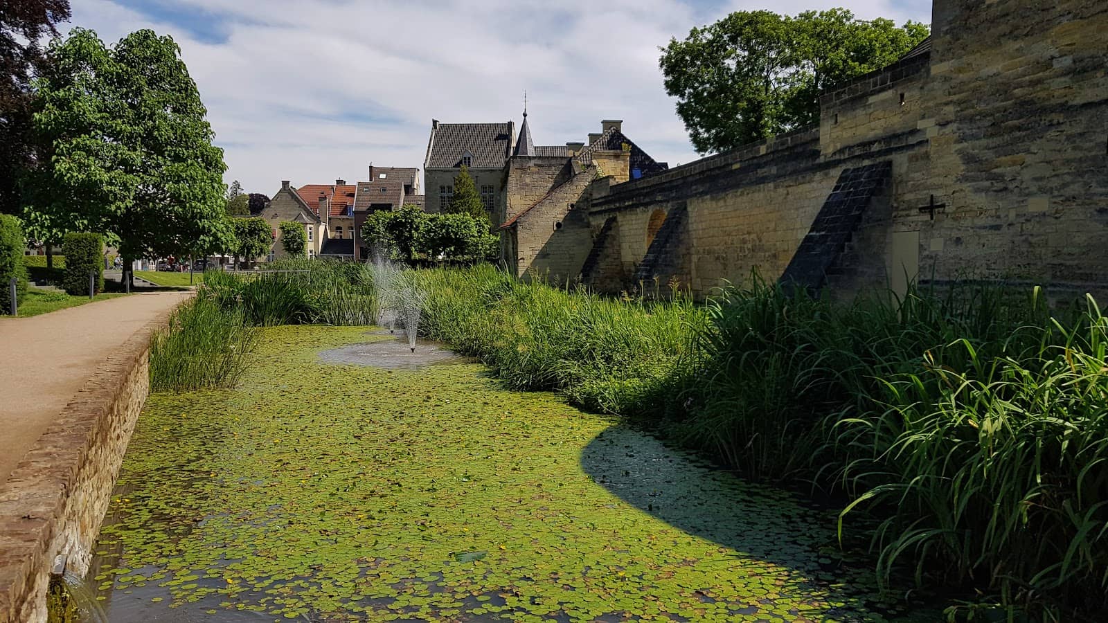 The Serene Pond
