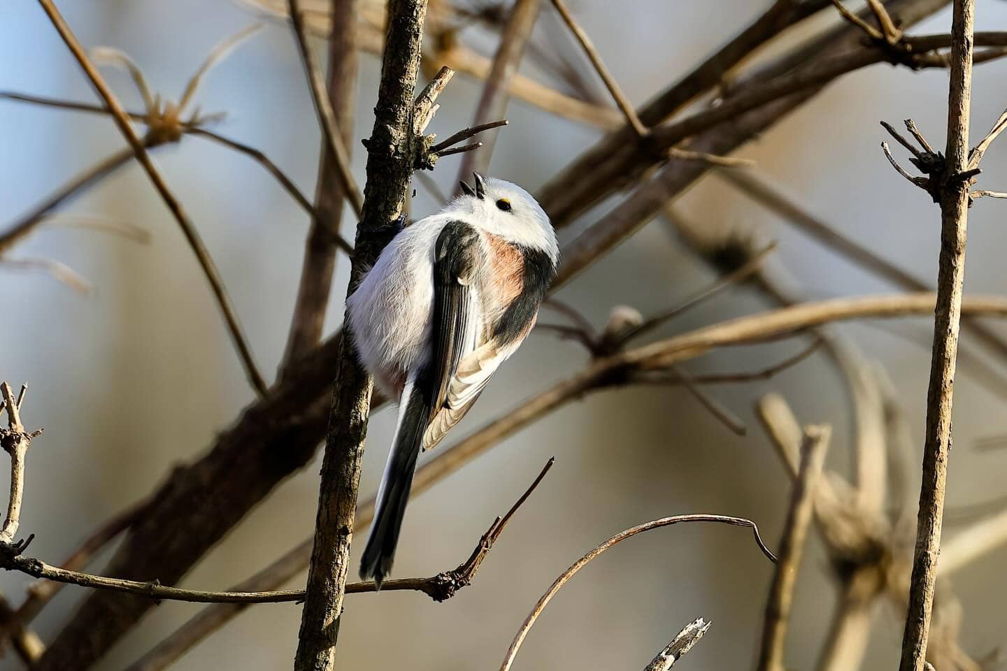 Vertical photo