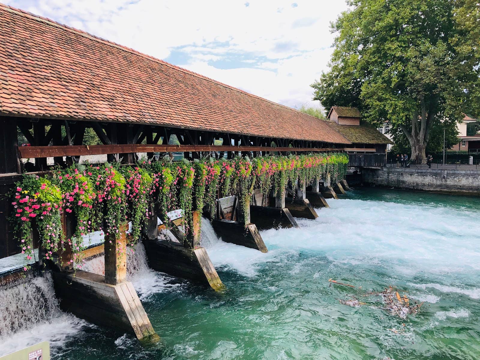 Surfing the Aare