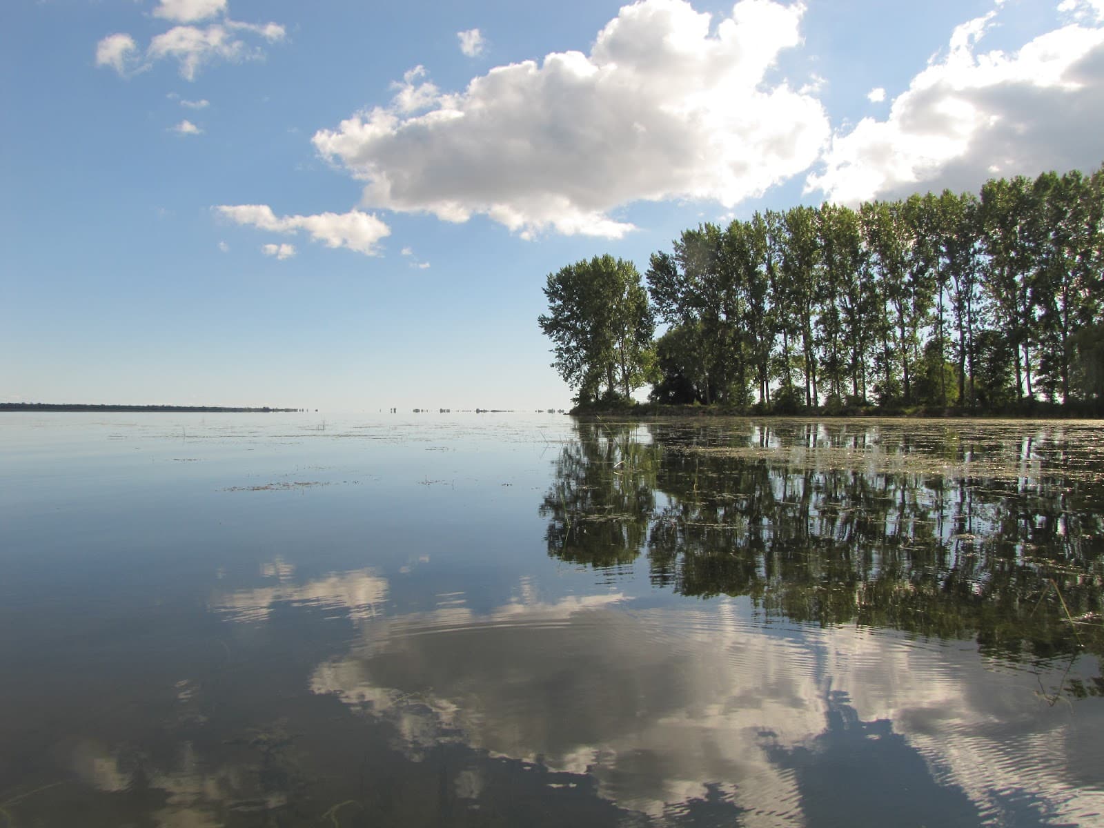 Rondeau Bay - Image 1