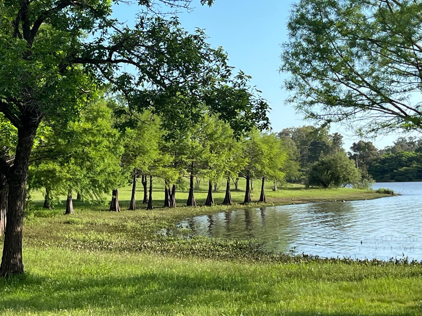 Parque del Lago (Salto Grande) - Image 1
