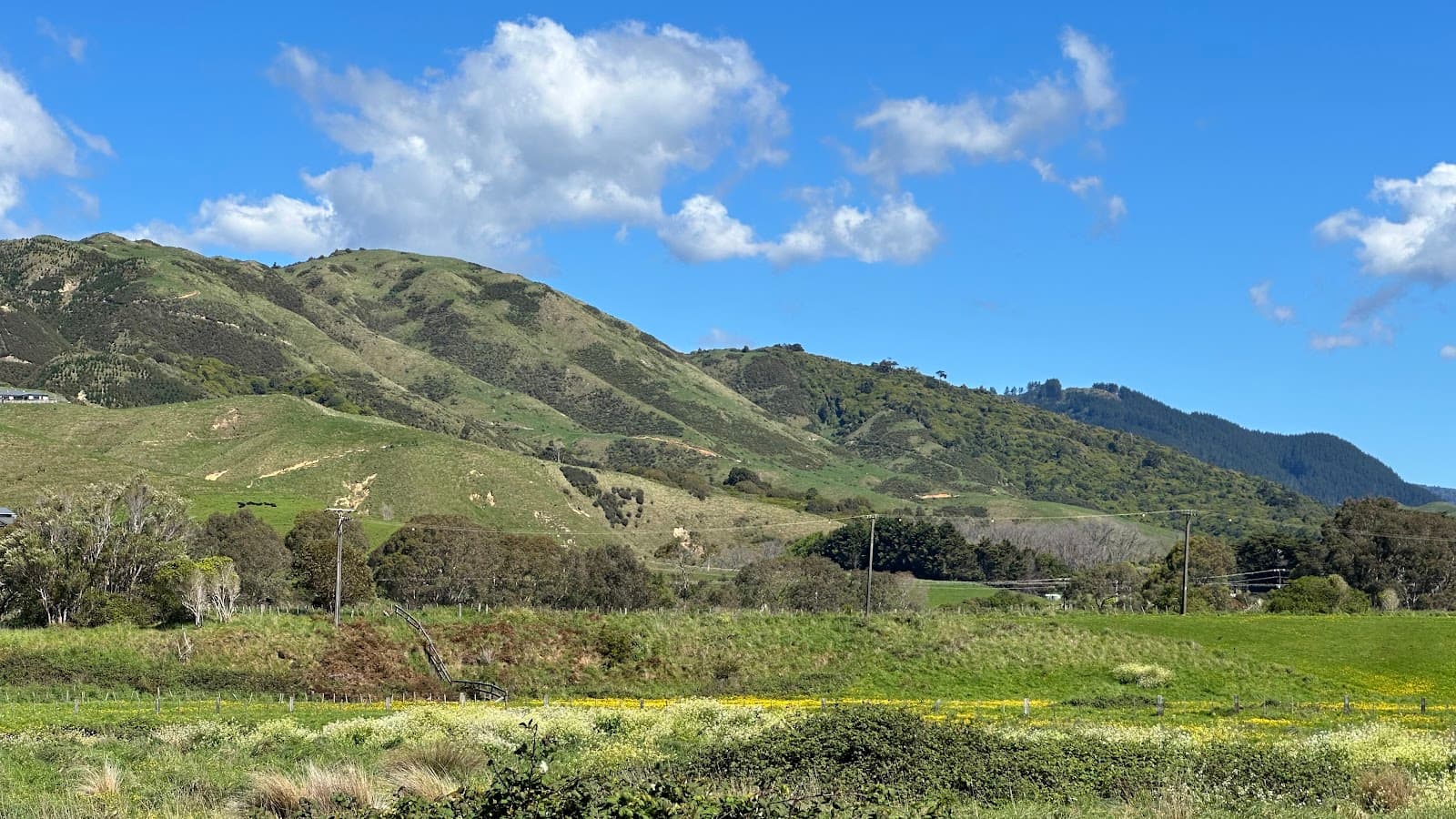 Maungakotukutuku Scenic Reserve - Image 1