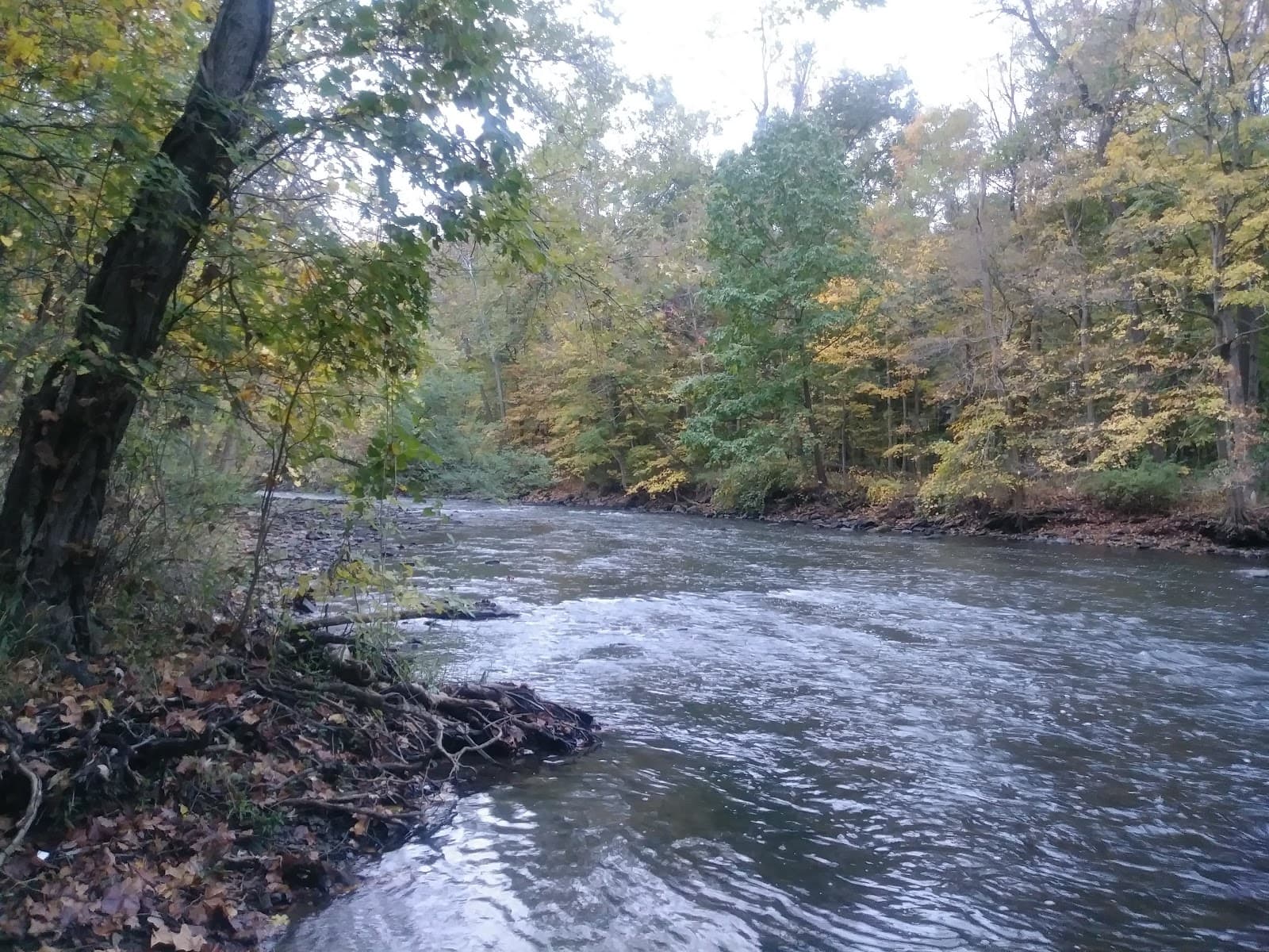 Babb Run Bird & Wildlife Sanctuary - Image 1