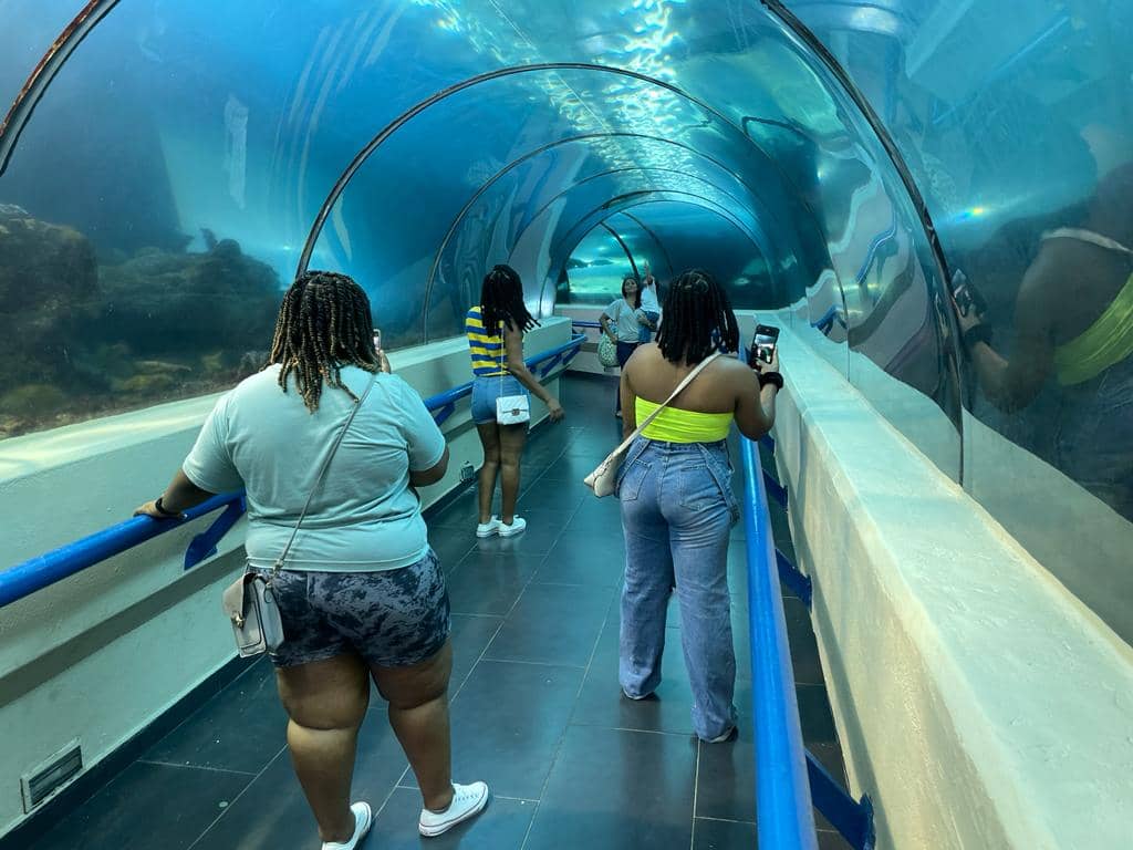 Manatee and Whale Skeletons