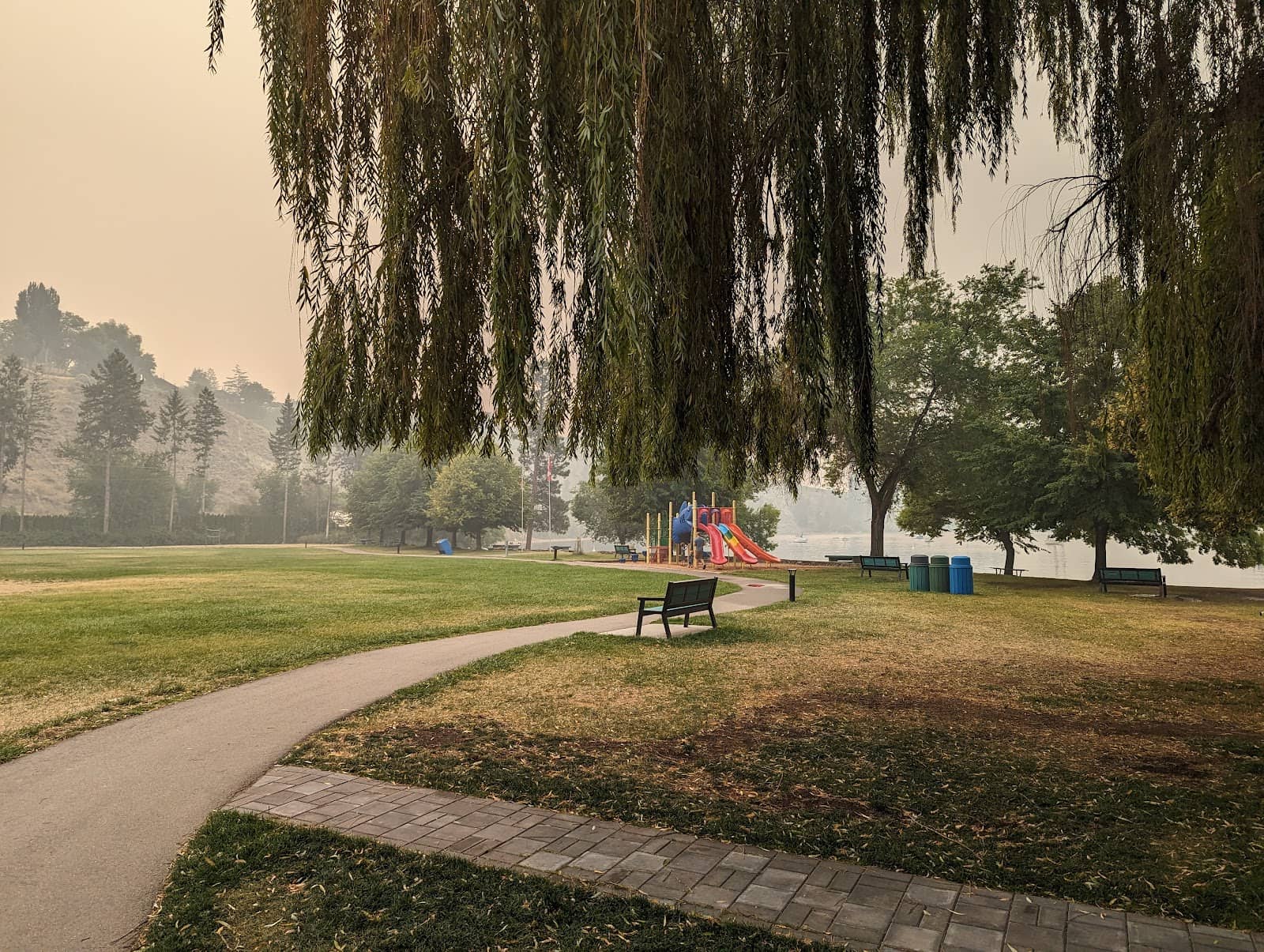 Spacious Green Field