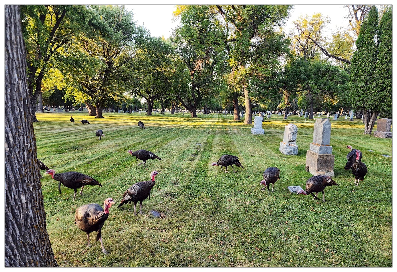 Riverside Cemetery (Fargo) - Image 1