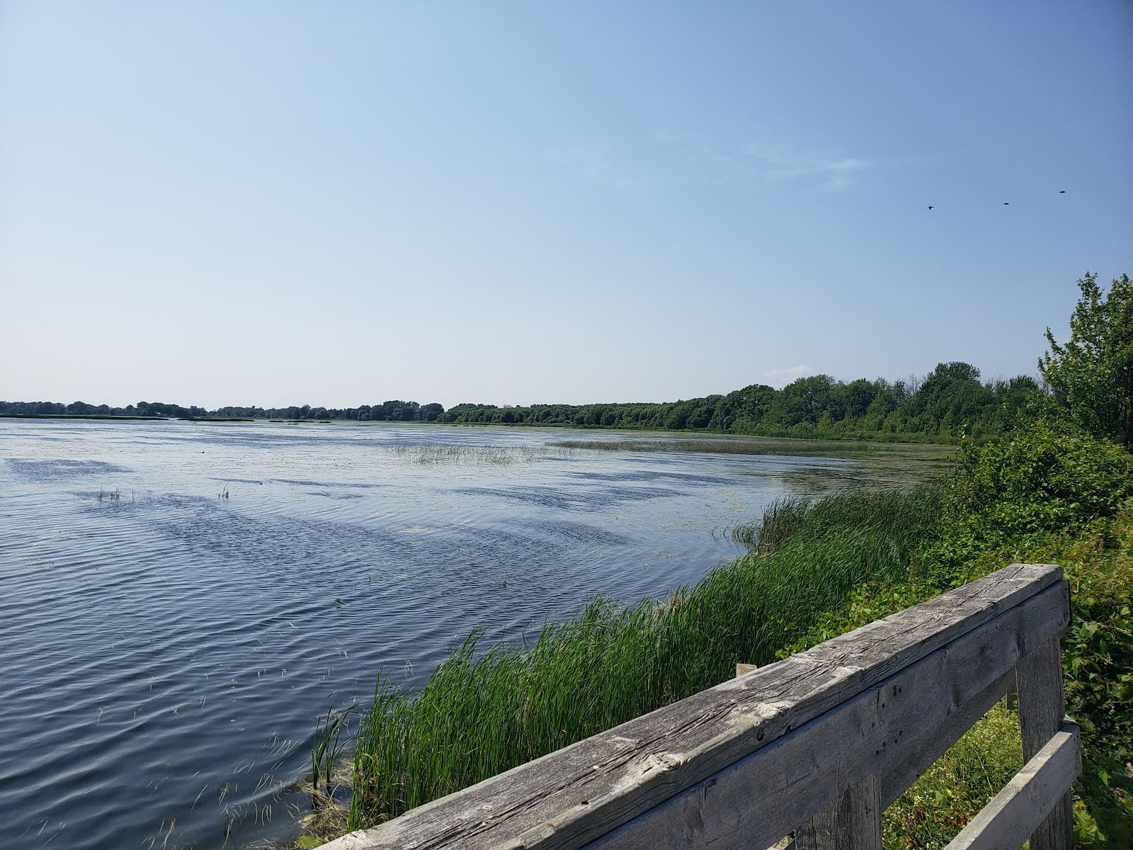 Millennium Trail Prince Edward County - Image 1
