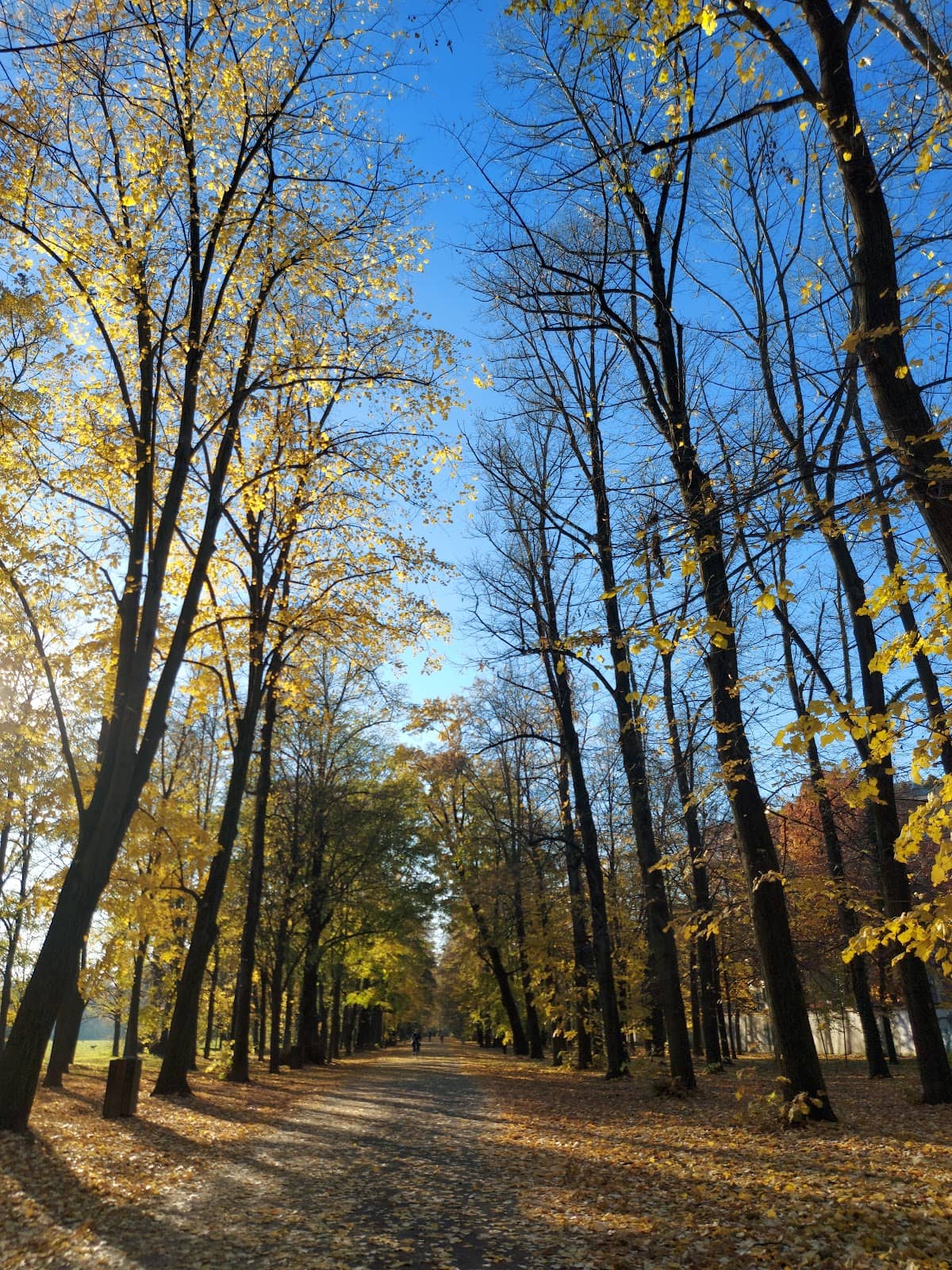 Monza National Circuit Access