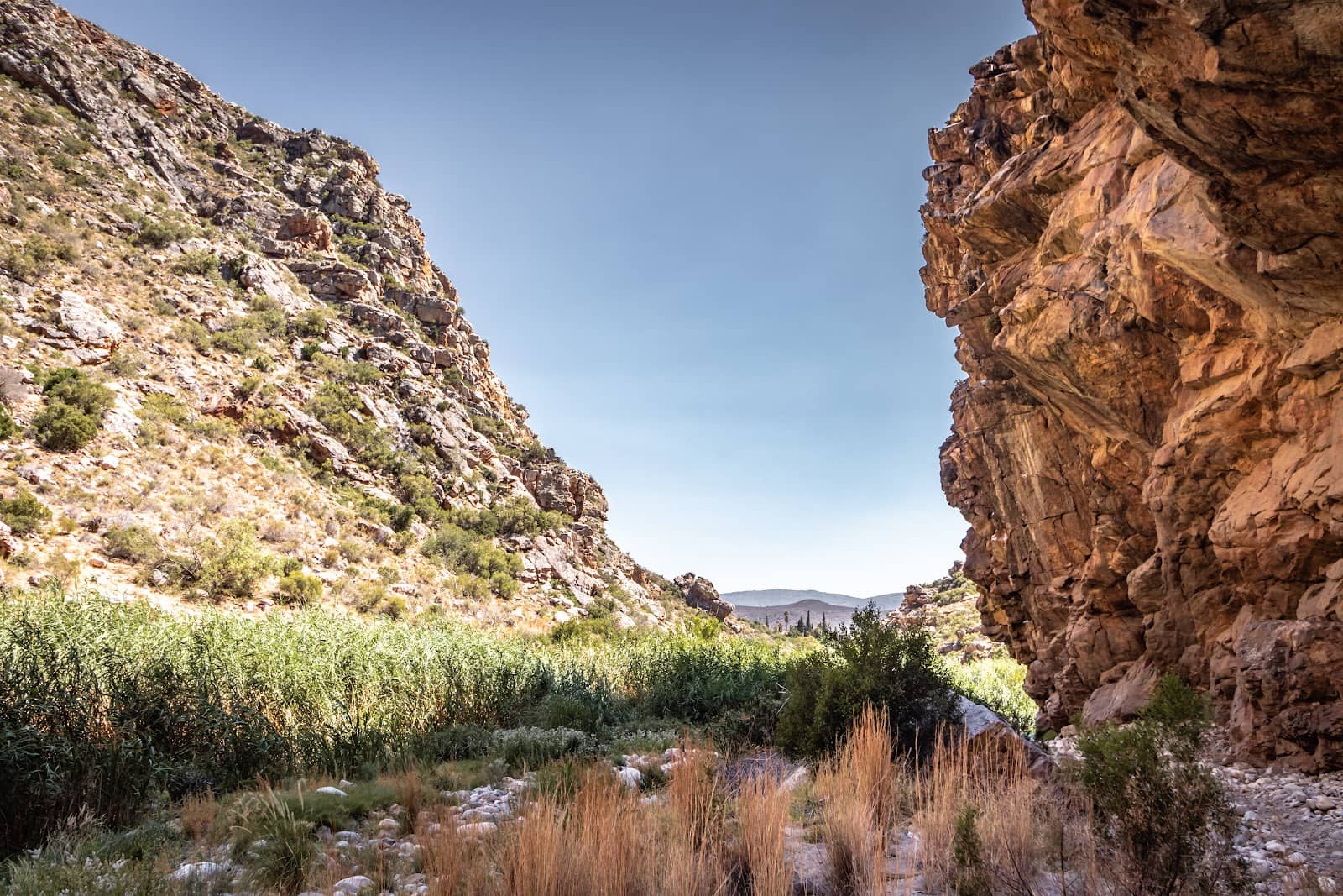 Bloupunt Trail Views