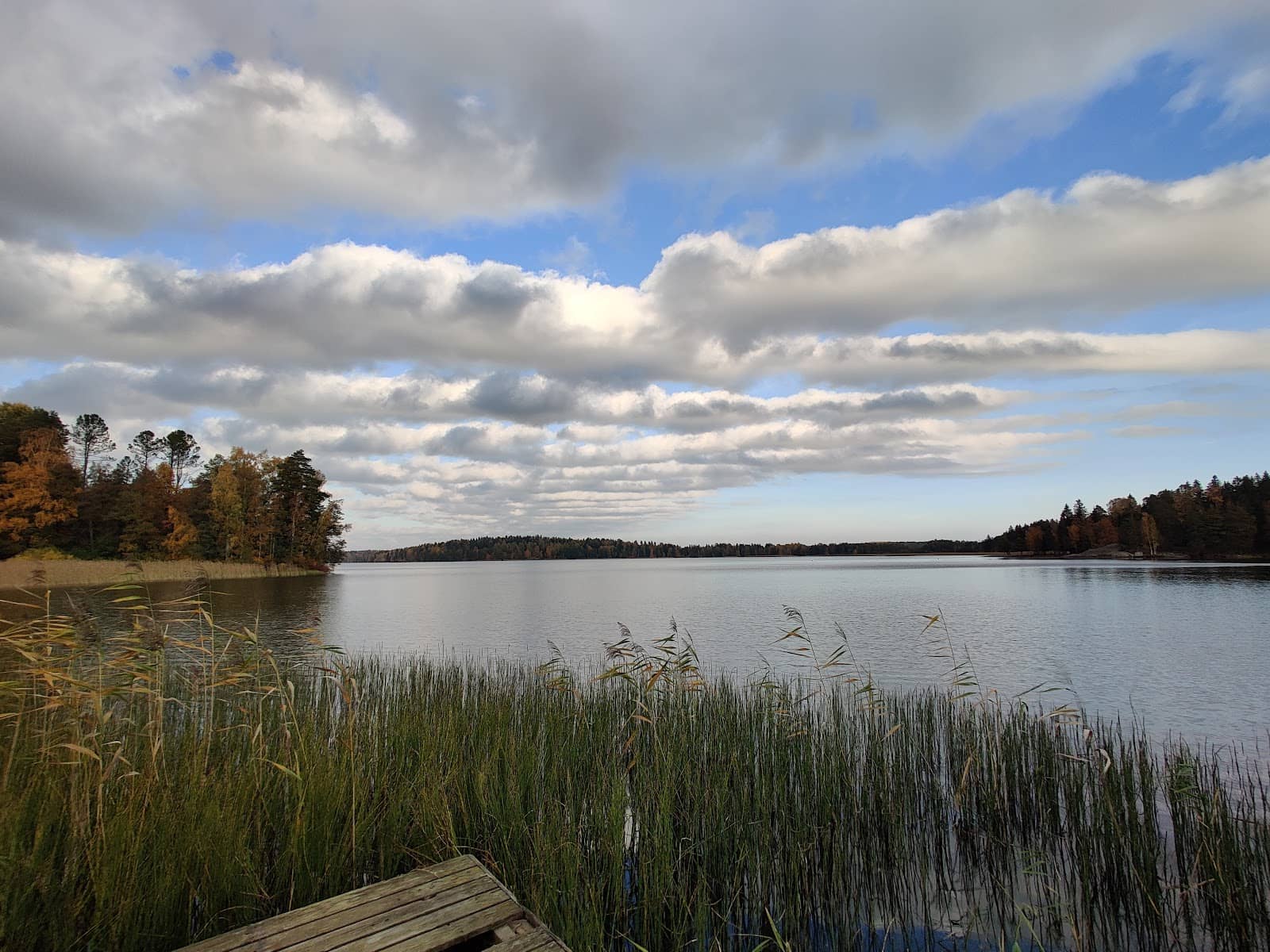 Recreational Activities