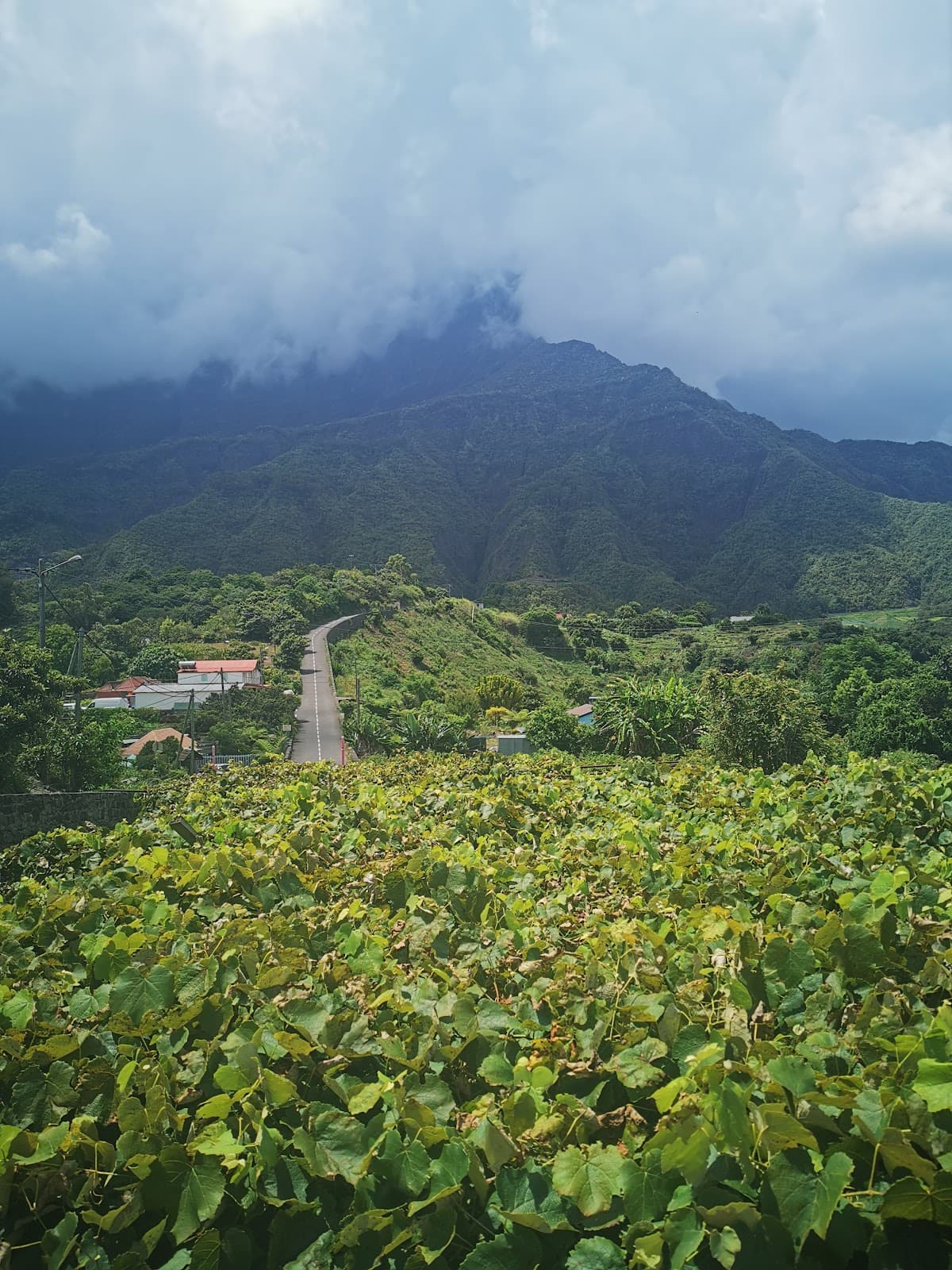 Ilet à Cordes Belvedere - Image 1