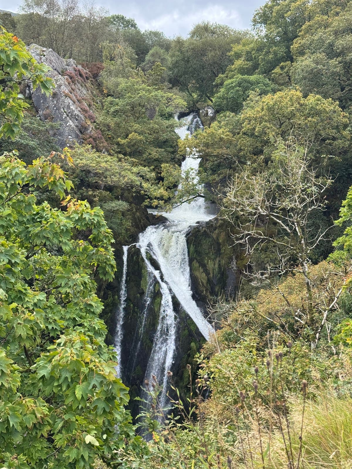 Ceunant Mawr Waterfall - Image 1