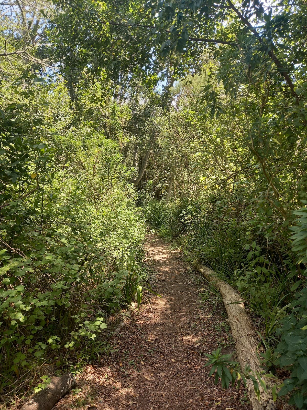 Pledge Nature Reserve - Image 1