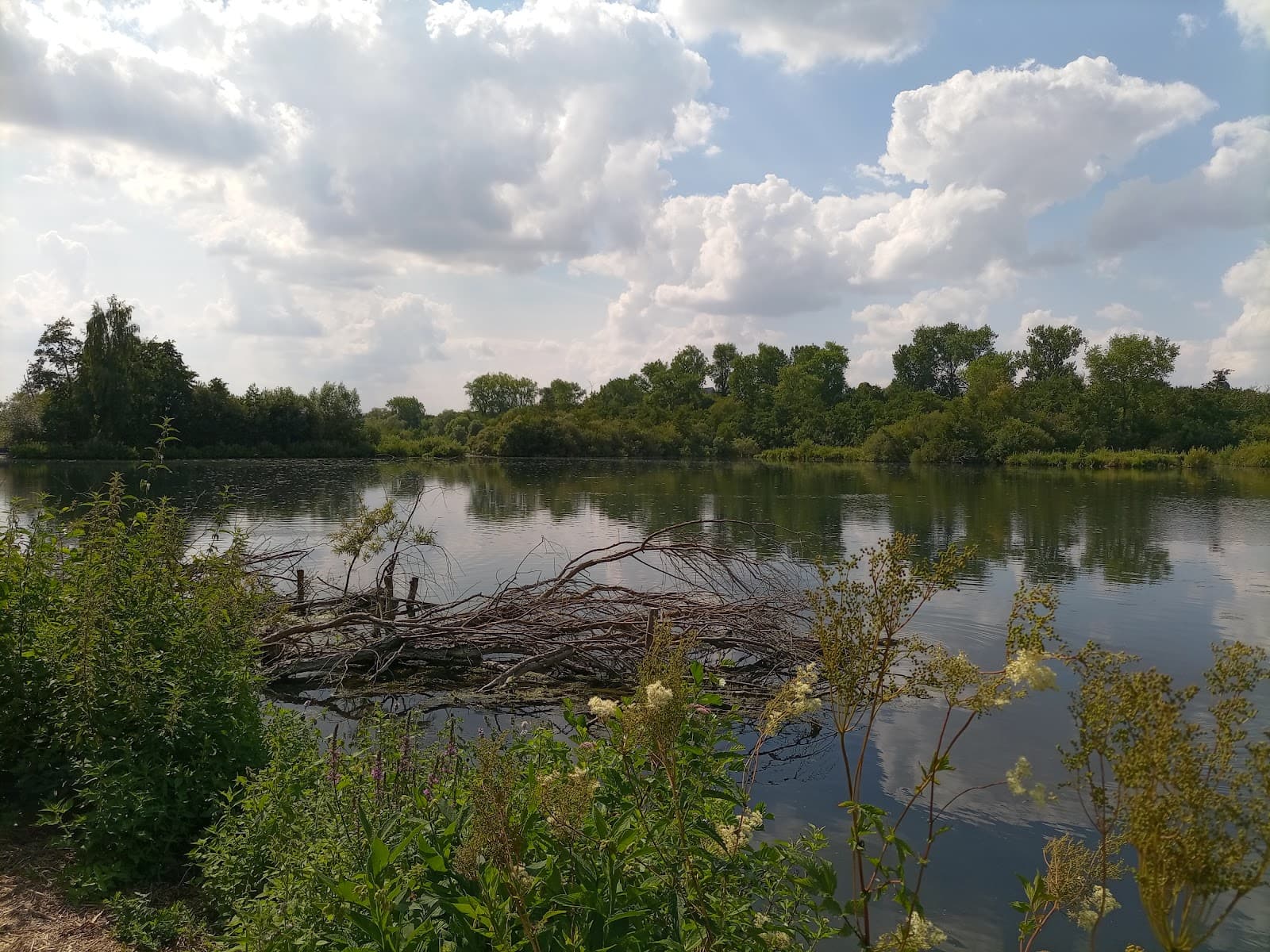 Parc d'Isle - Marais d'Isle Reserve - Image 1