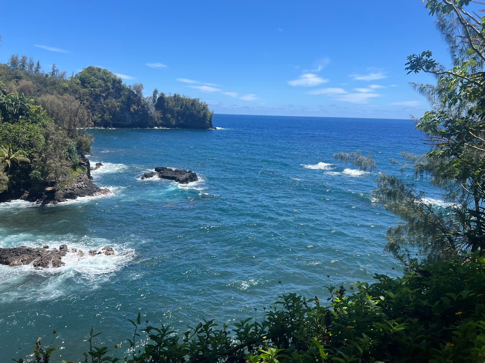 Old Mamalahoa Highway Scenic Drive Onomea - Image 1