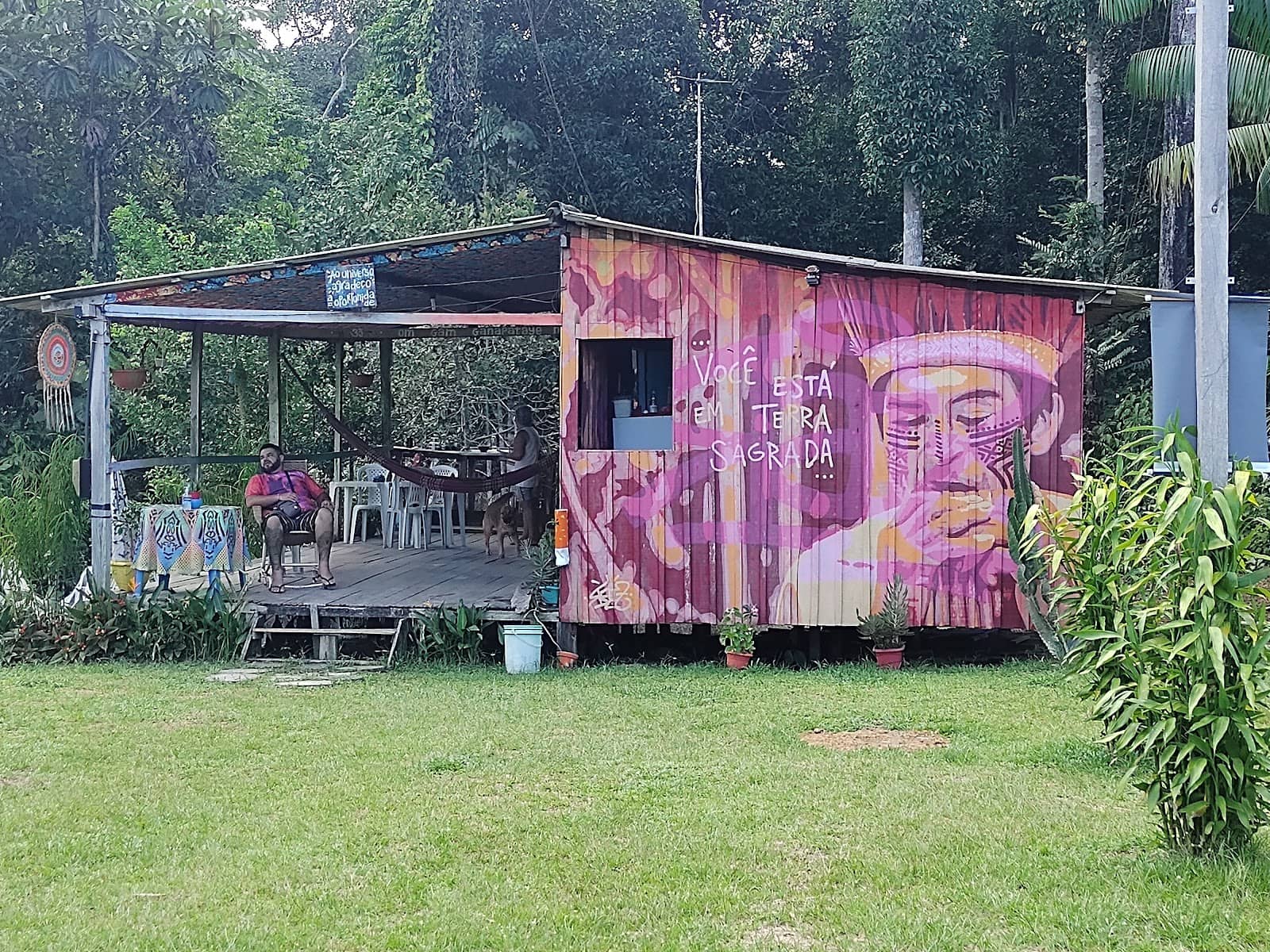 Camping Under the Stars