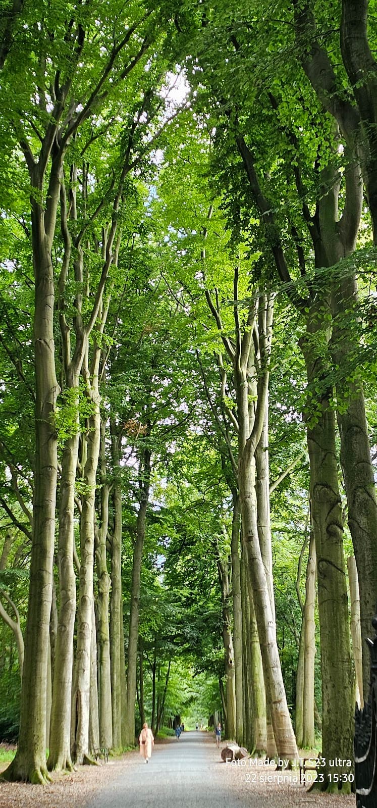 Den Brandt Park & Castle - Image 1
