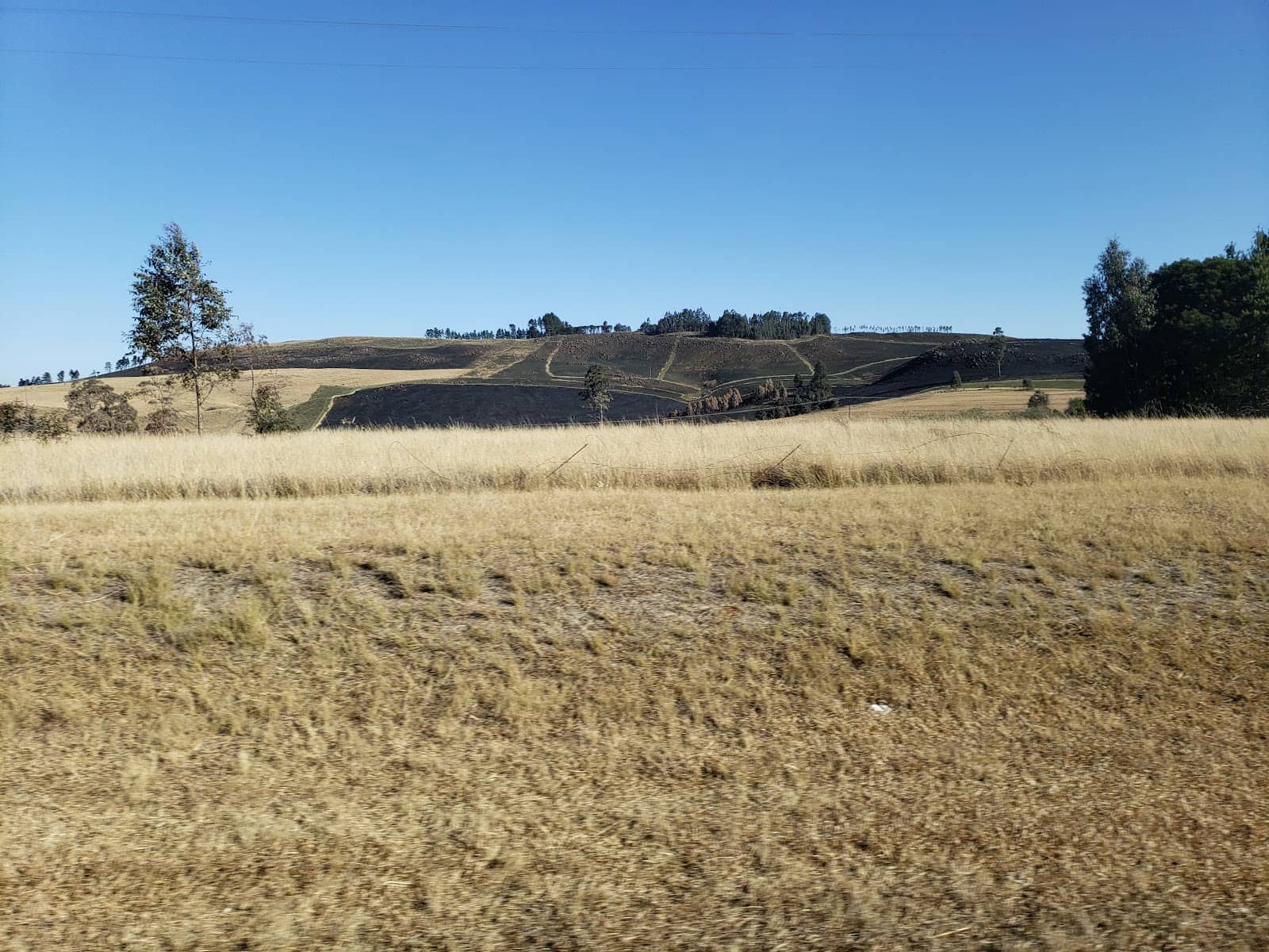 Tranquil Countryside