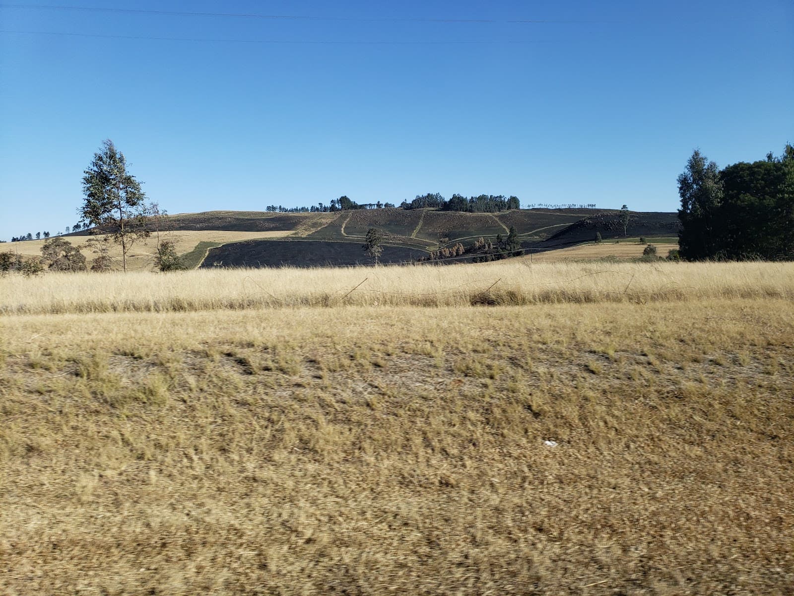 Curry's Post - Image 1