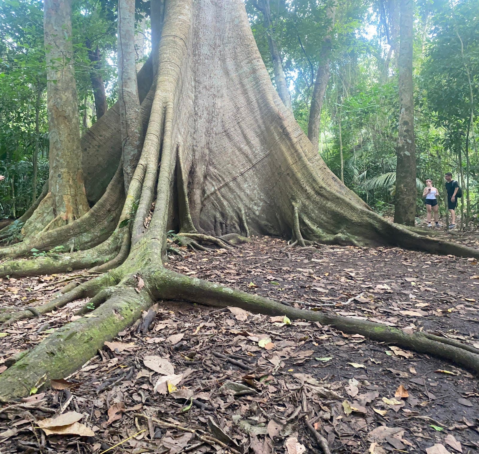 Comunidade de Jamaraquá (FLONA) - Image 1