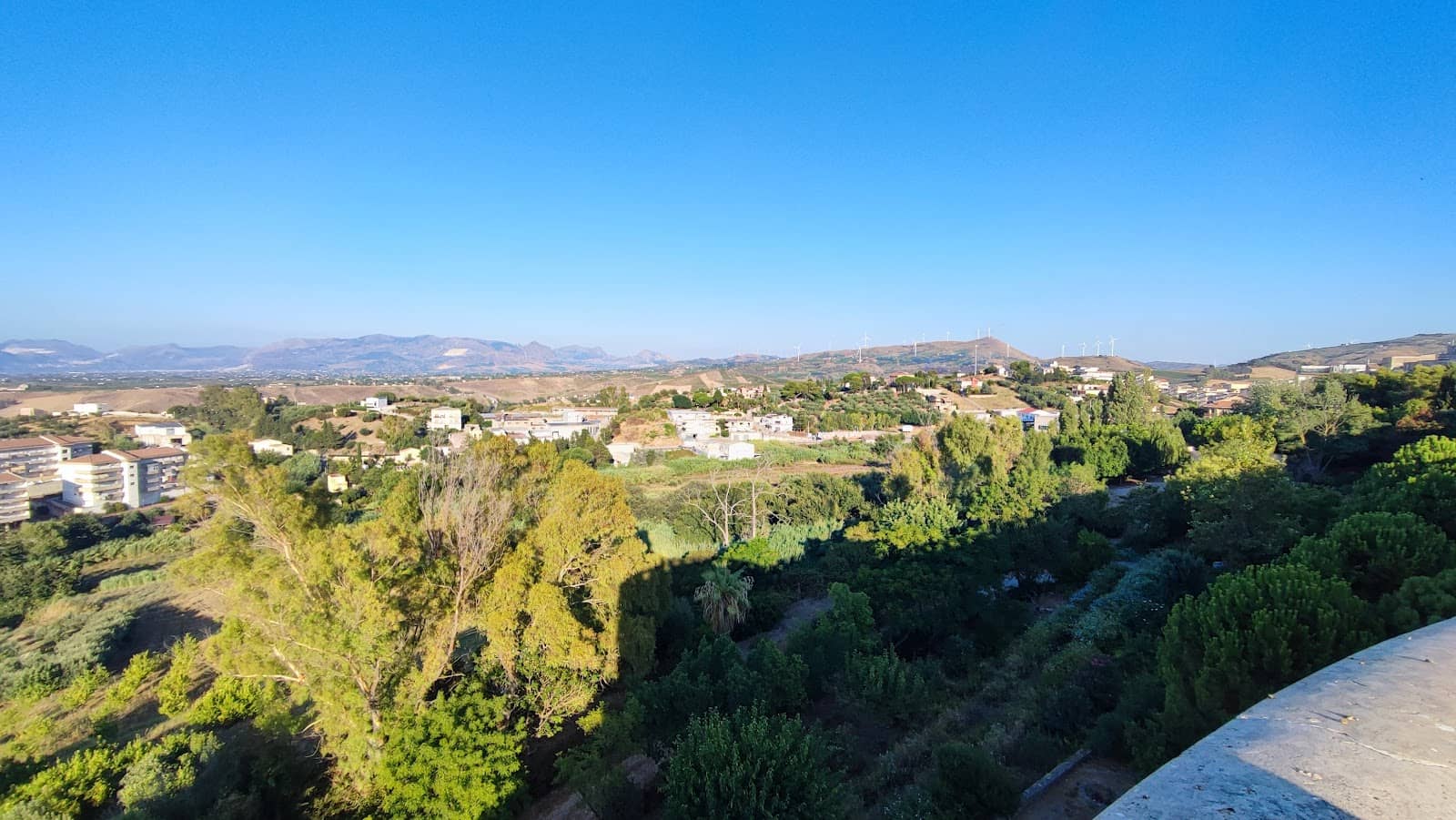 Dog-Friendly Ambiance