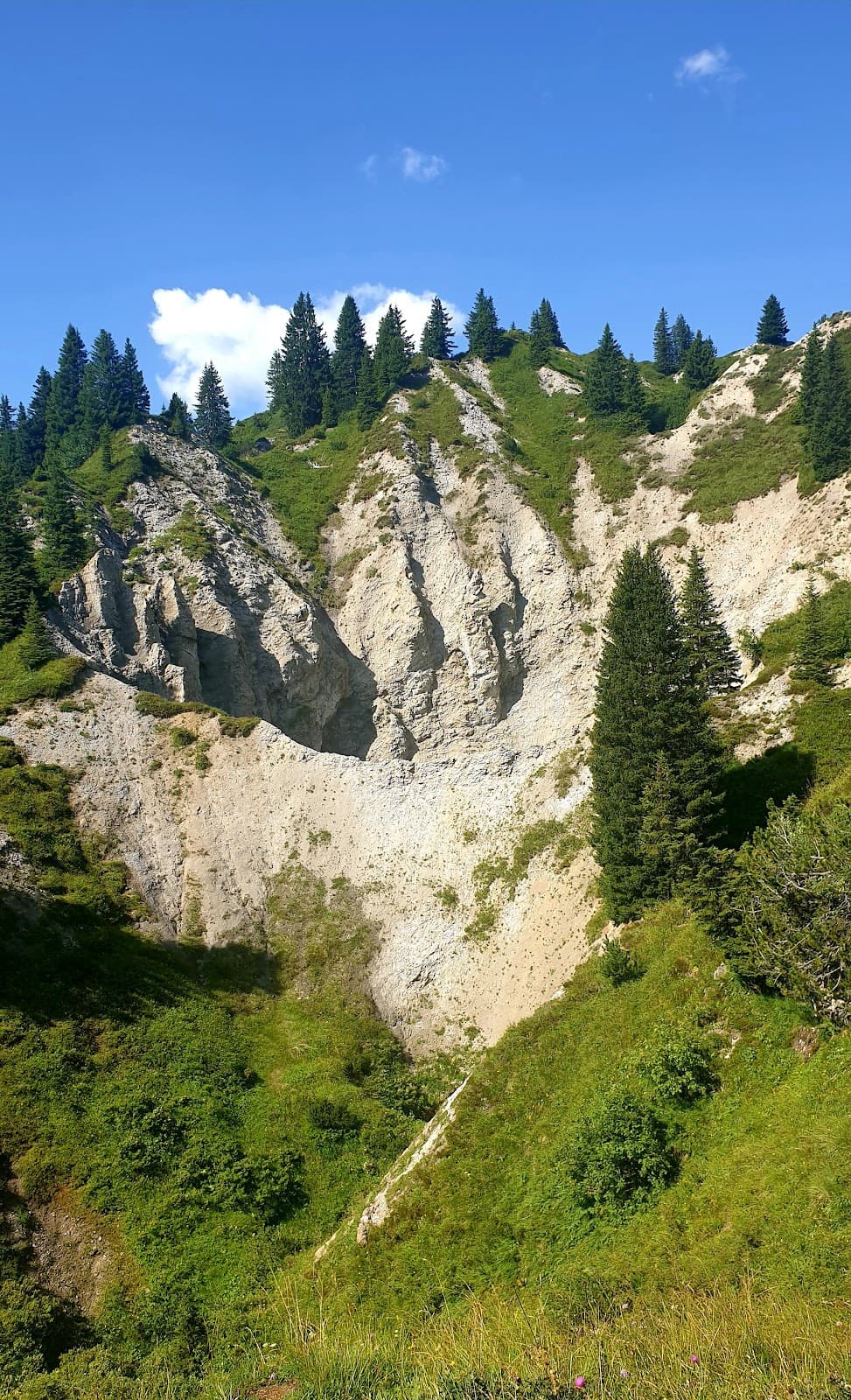 Gipslöcher Oberlech Nature Reserve - Image 1