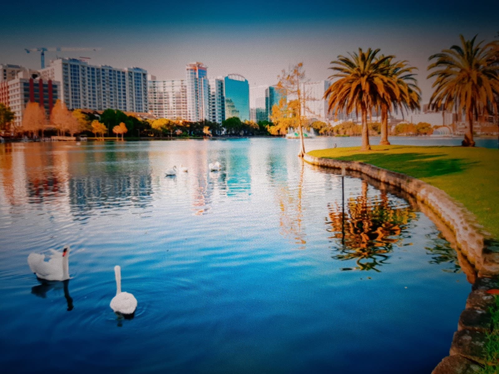 Various Orlando Neighborhoods - Image 1