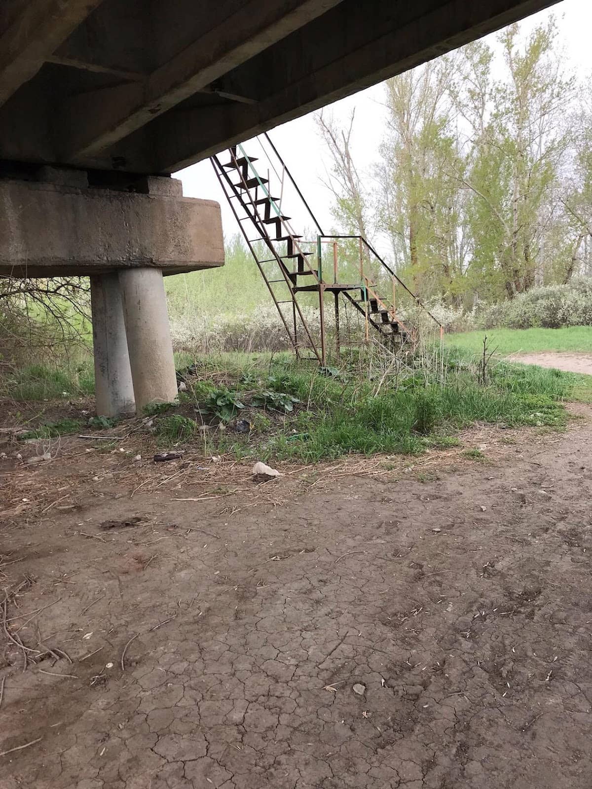 Vertical photo