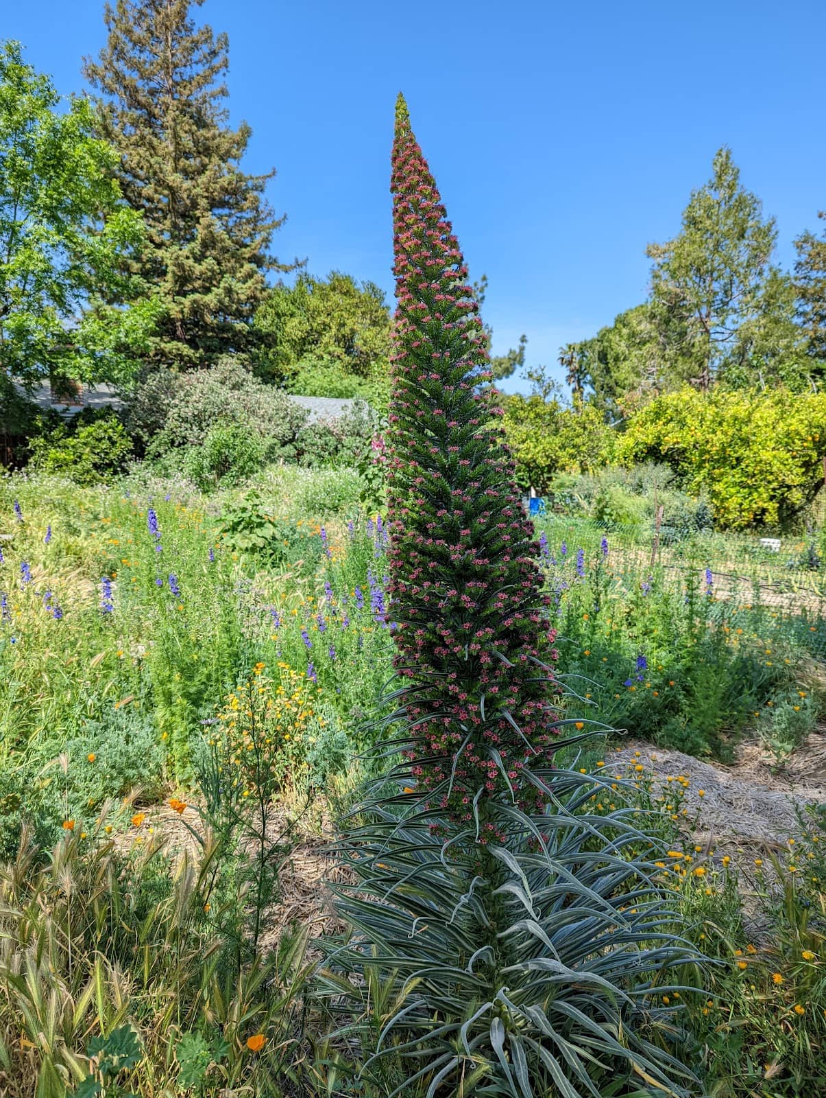 Modern Village Living