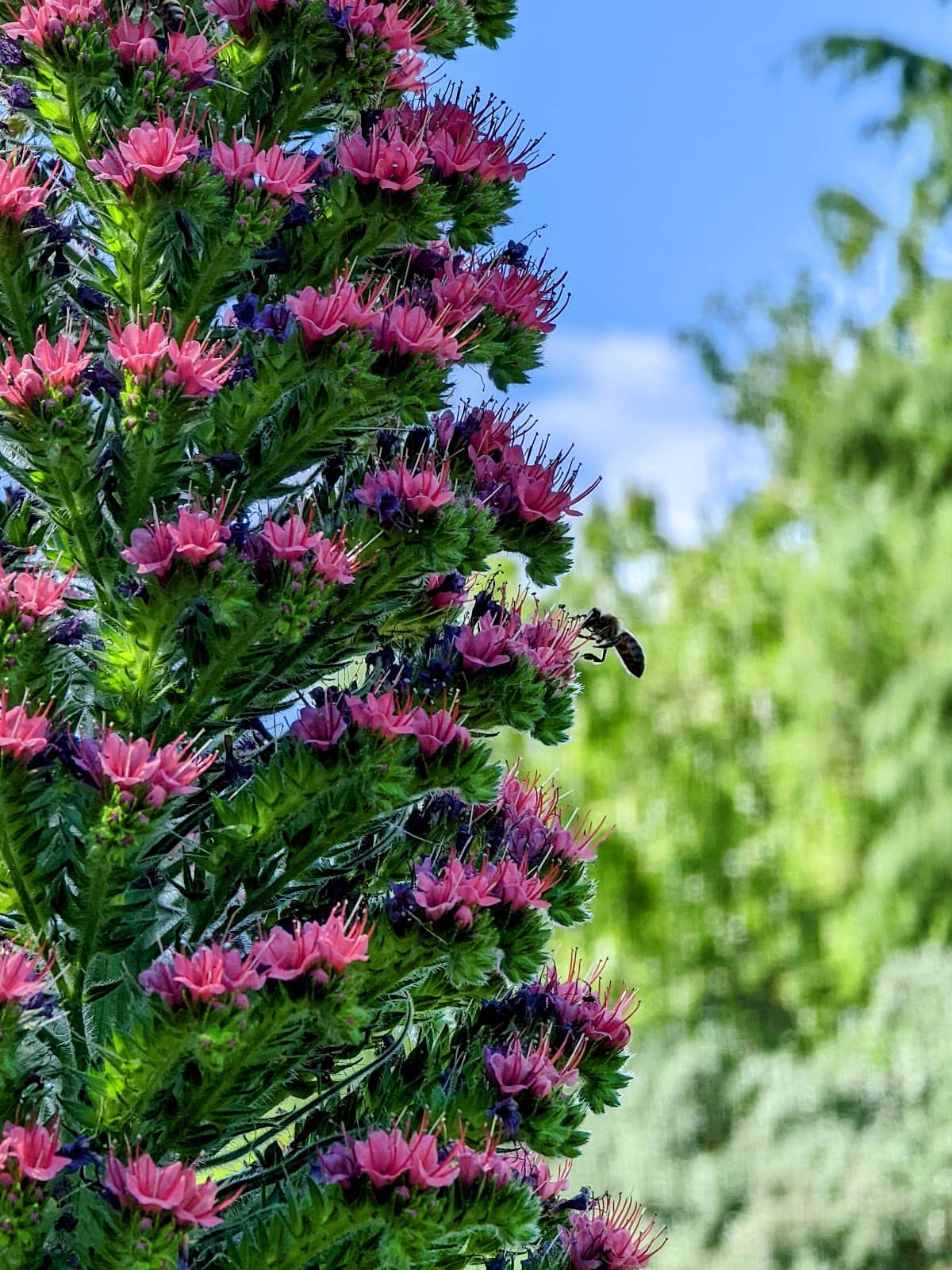 Vertical photo