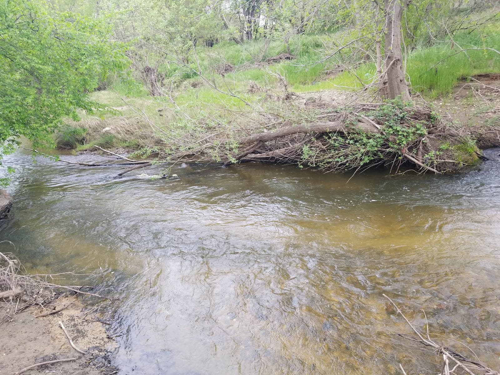 Auburn Ravine Park & Trail (Lincoln) - Image 1